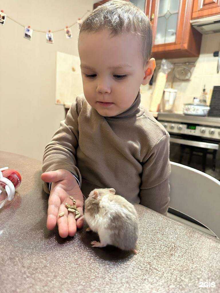 Отзывы на компанию Ветна в г. Уфа c фото