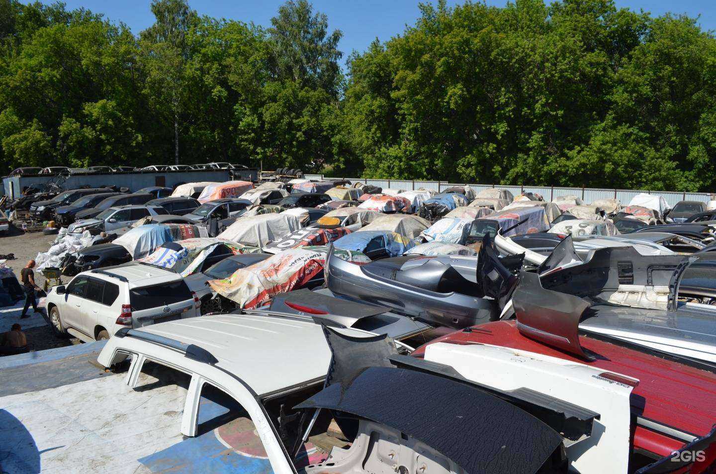 Отзывы на компанию Avtocar54 в г. Новосибирск c фото