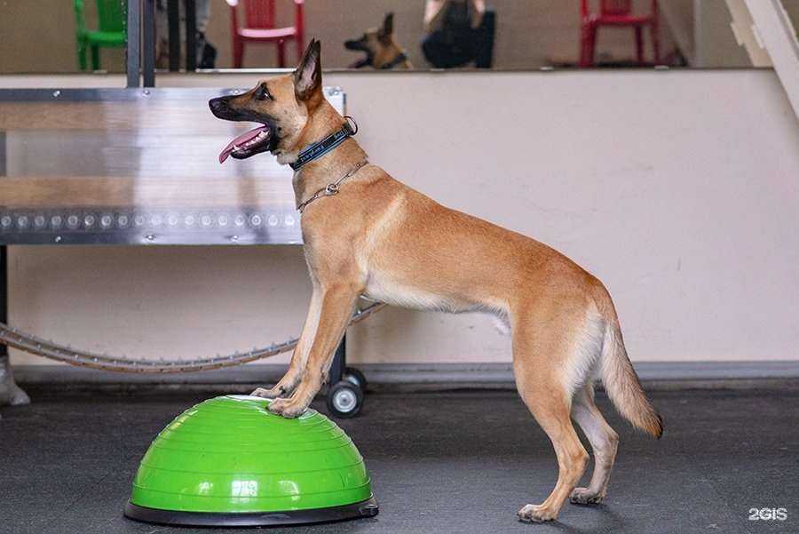 Отзывы на компанию К-10 в Петрозаводске c фото