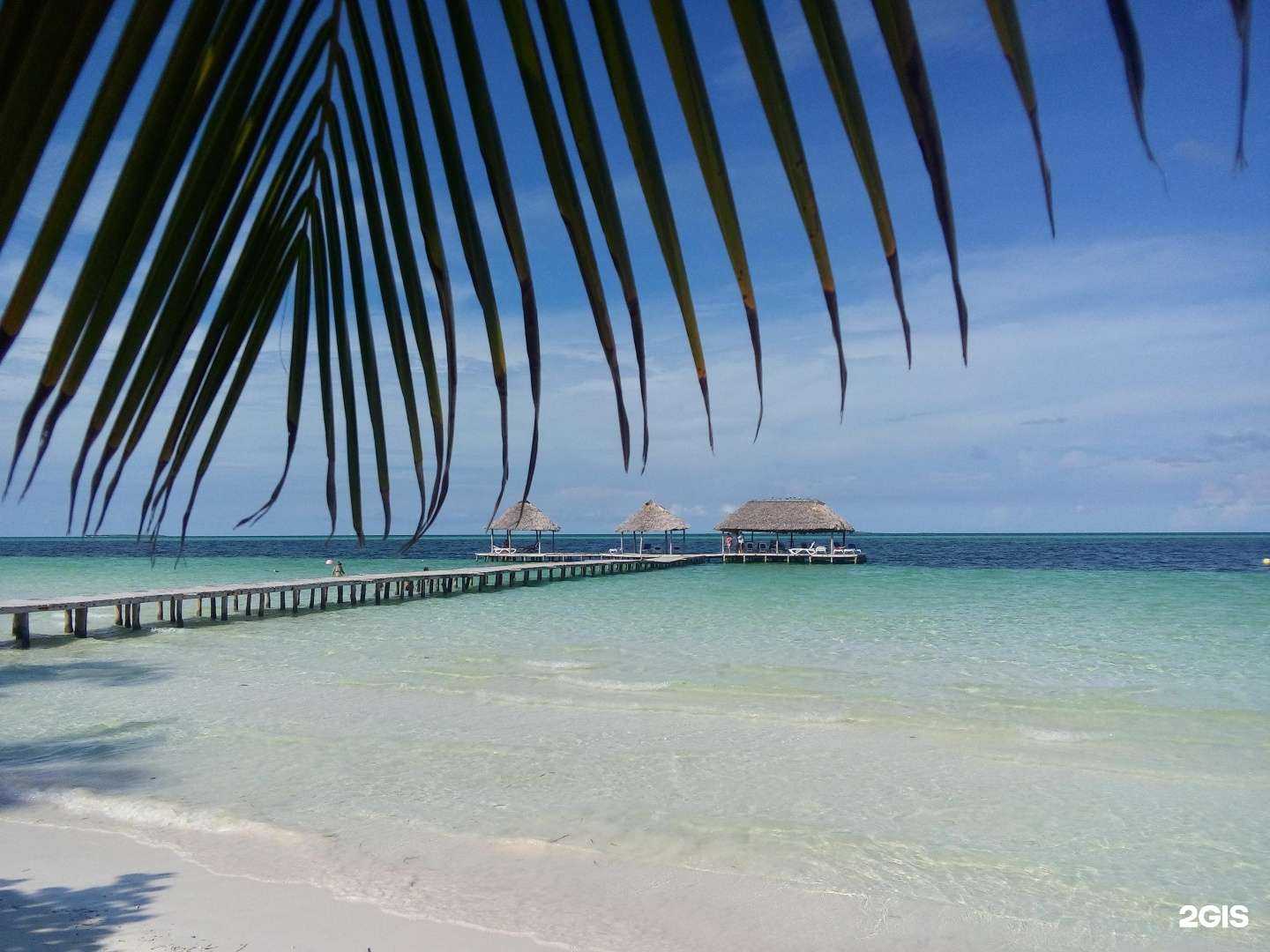 Отзывы на компанию Bon Voyage в г. Воскресенск c фото