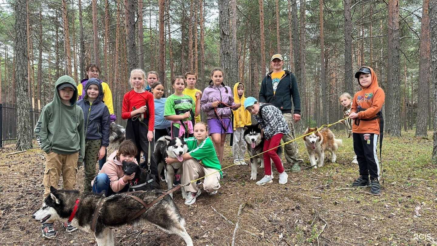 Отзывы на компанию Северный Артек в Архангельске c фото