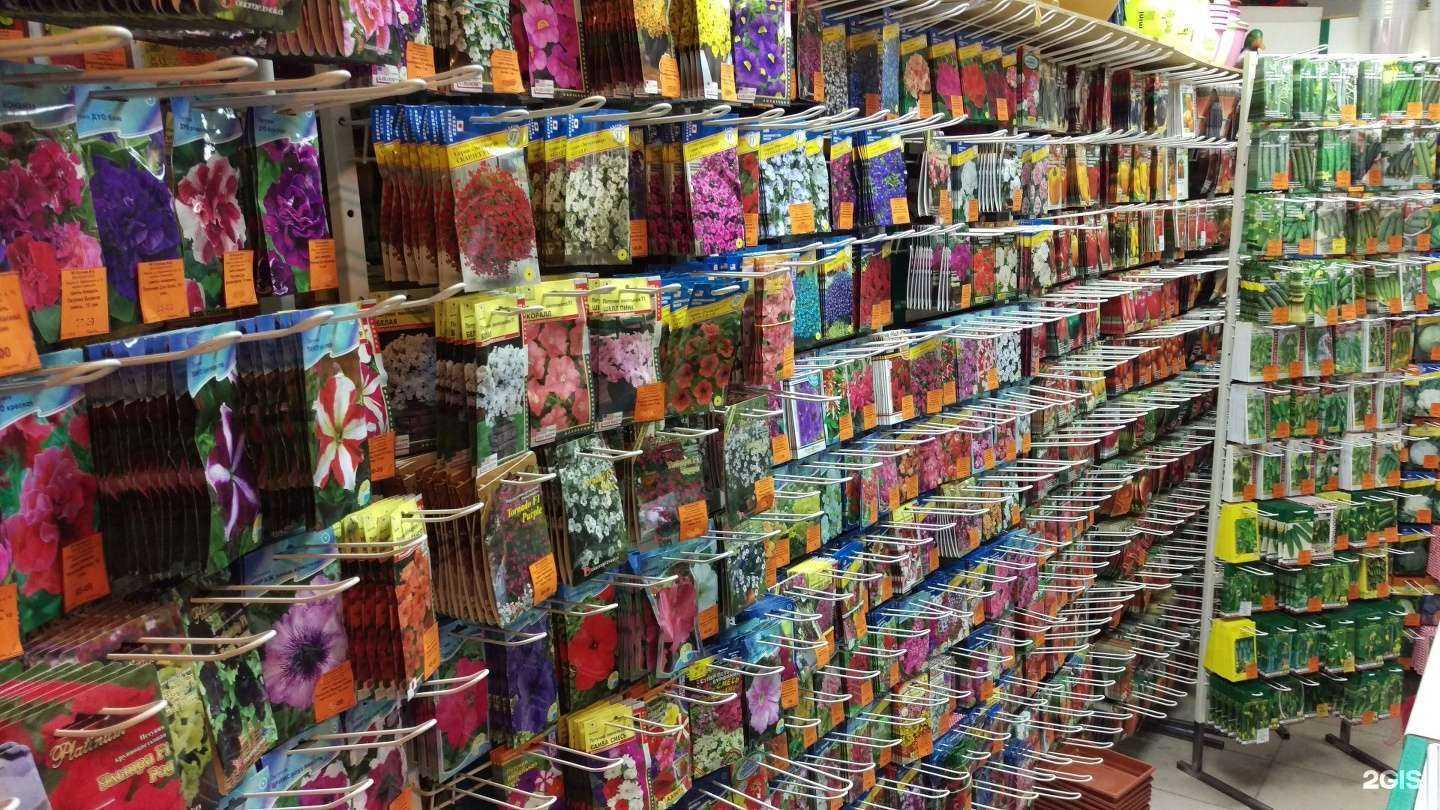 Отзывы на компанию Семена №1 в г. Калуга c фото