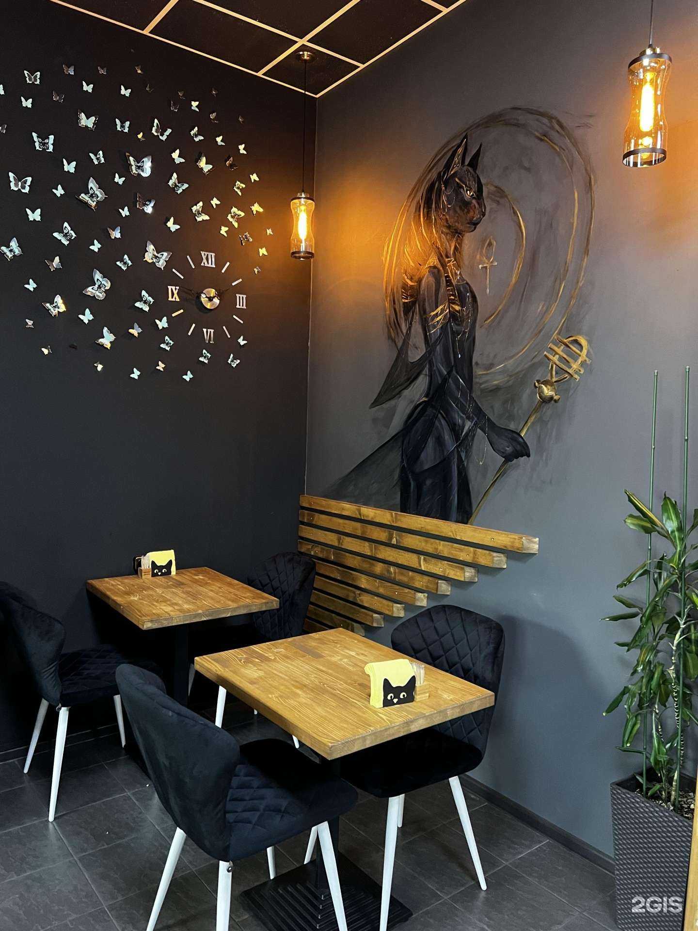 Отзывы на компанию Бастет в г. Петропавловск-Камчатский c фото