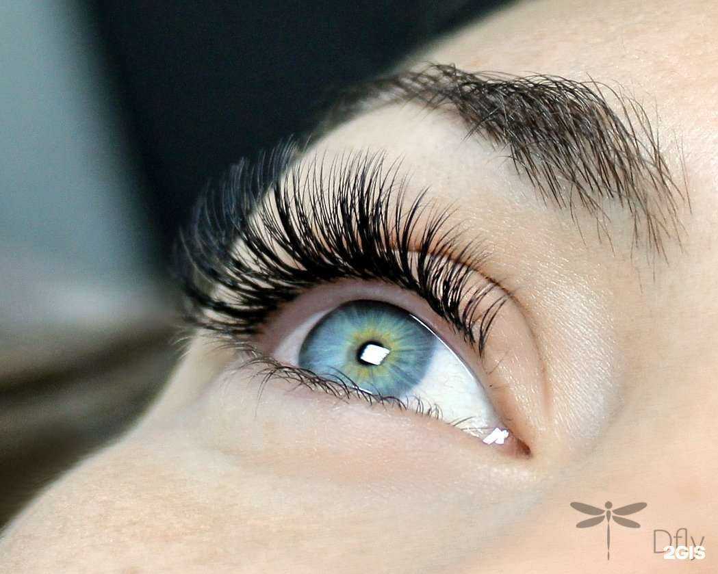 Отзывы на компанию Dfly в Нижнем Новгороде c фото