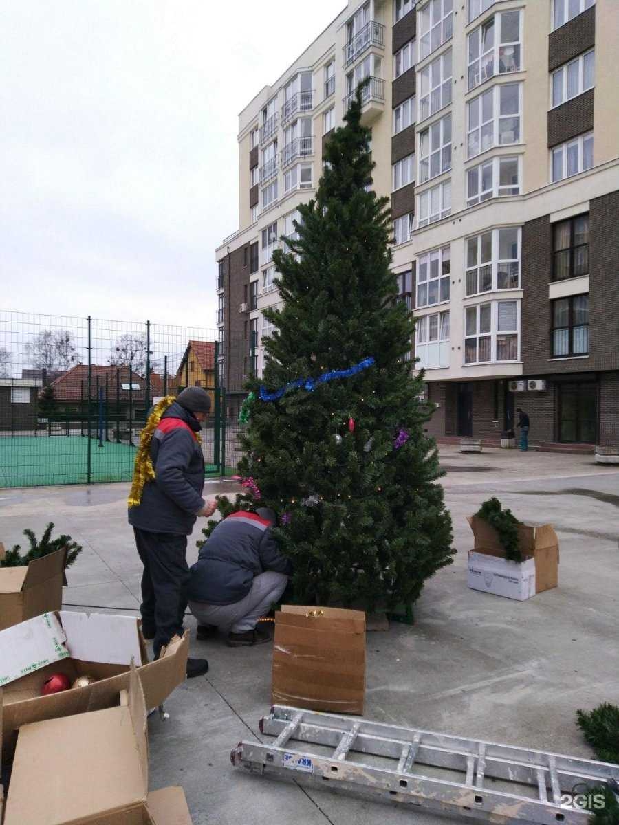 Отзывы на компанию Собачье сердце в Калининграде c фото - фотография 2 из 2