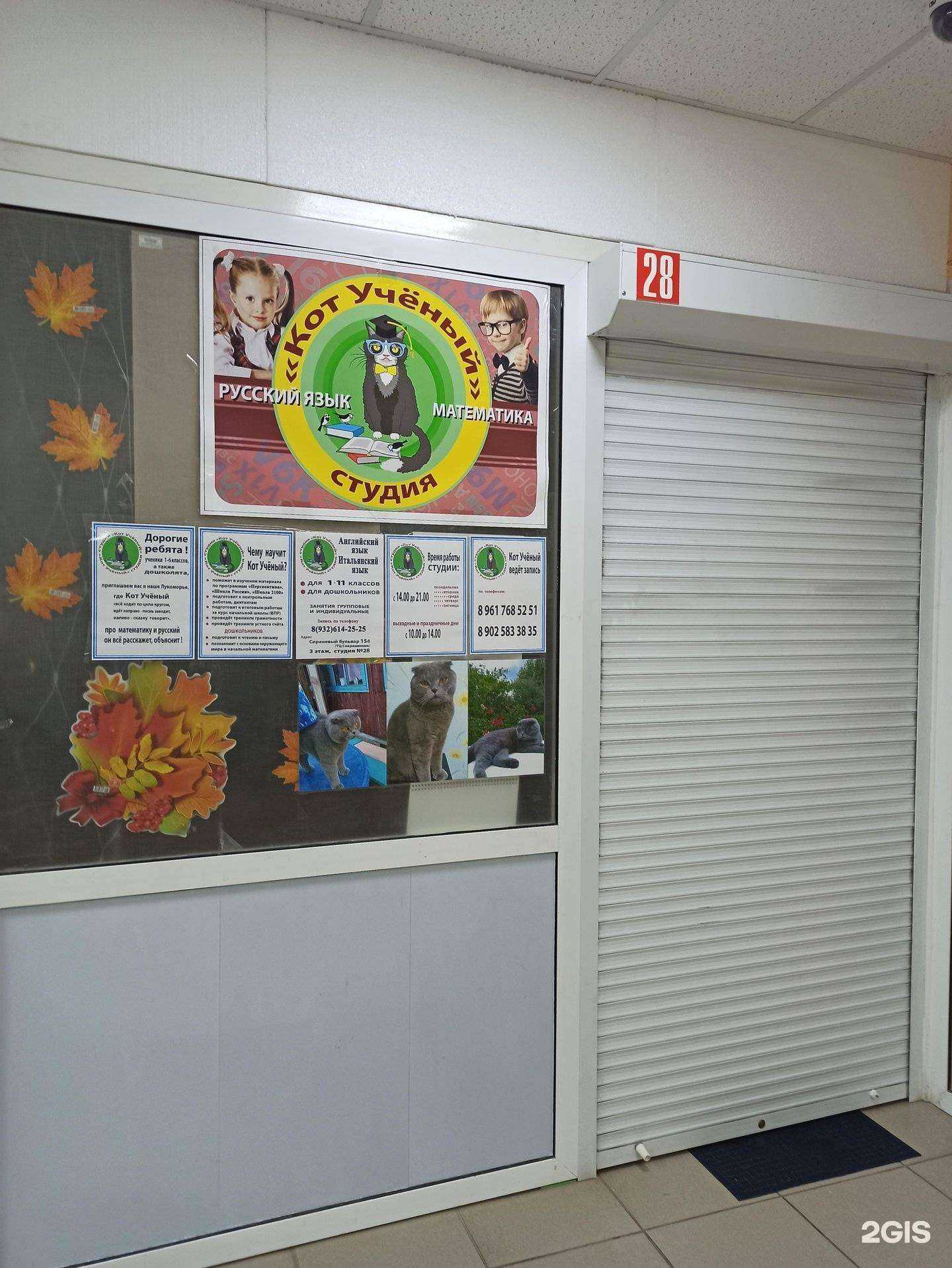 Отзывы на компанию Ученый кот в Екатеринбурге c фото