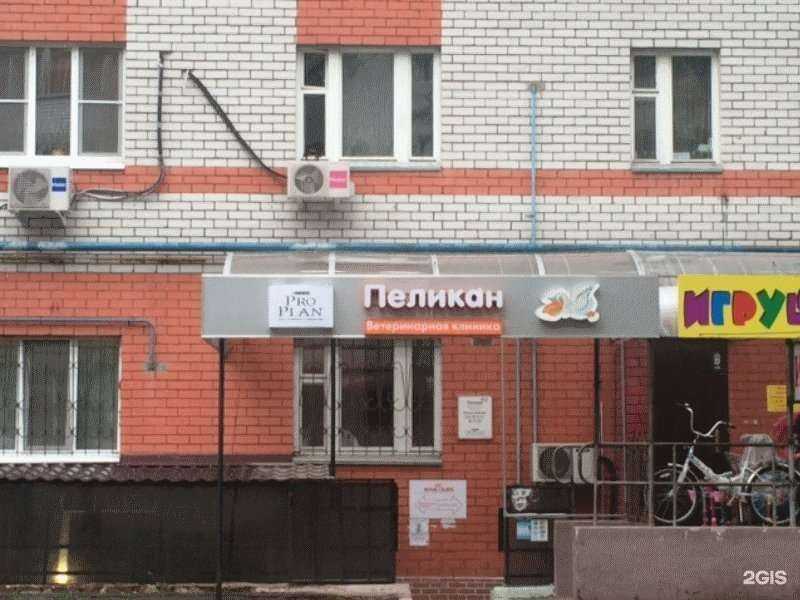 Отзывы на компанию Пеликан в Казани c фото