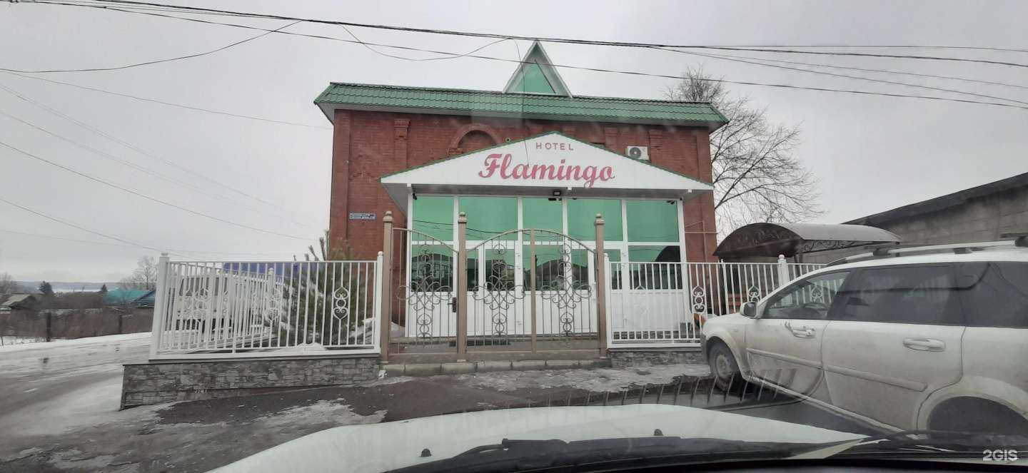 Отзывы на компанию Фламинго в Альметьевске c фото