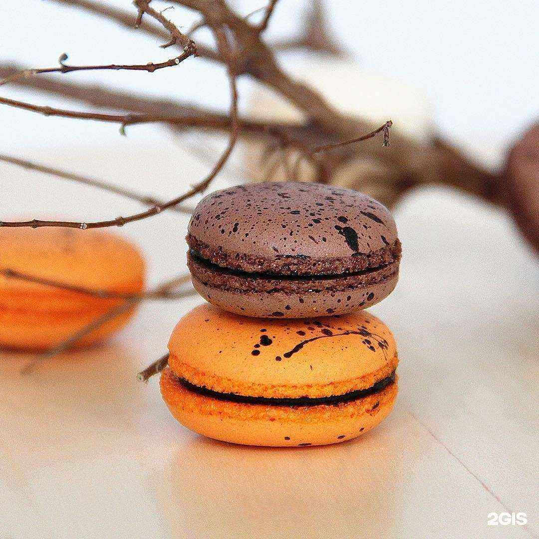 Отзывы на компанию Rush Studio в г. Новосибирск c фото