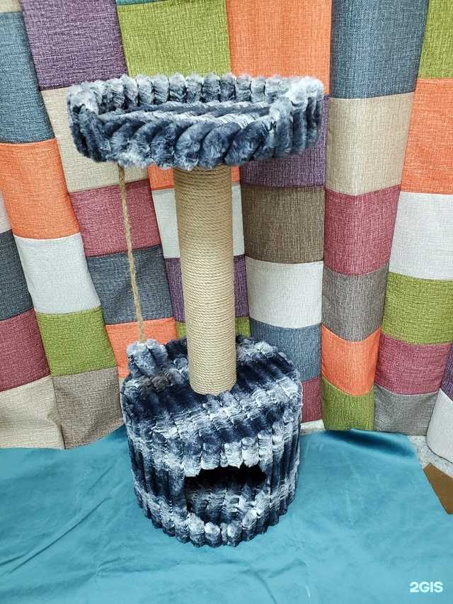 Отзывы на компанию Котодом42 в г. Кемерово c фото