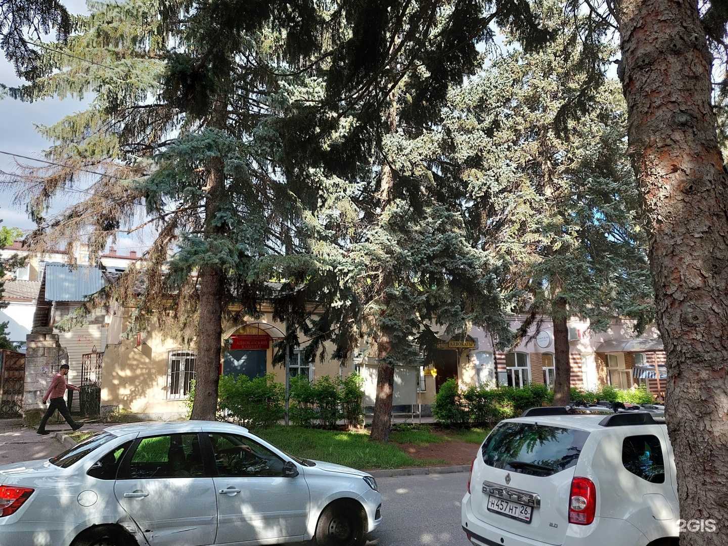 Отзывы на компанию Dodzo в Пятигорске c фото - фотография 2 из 2