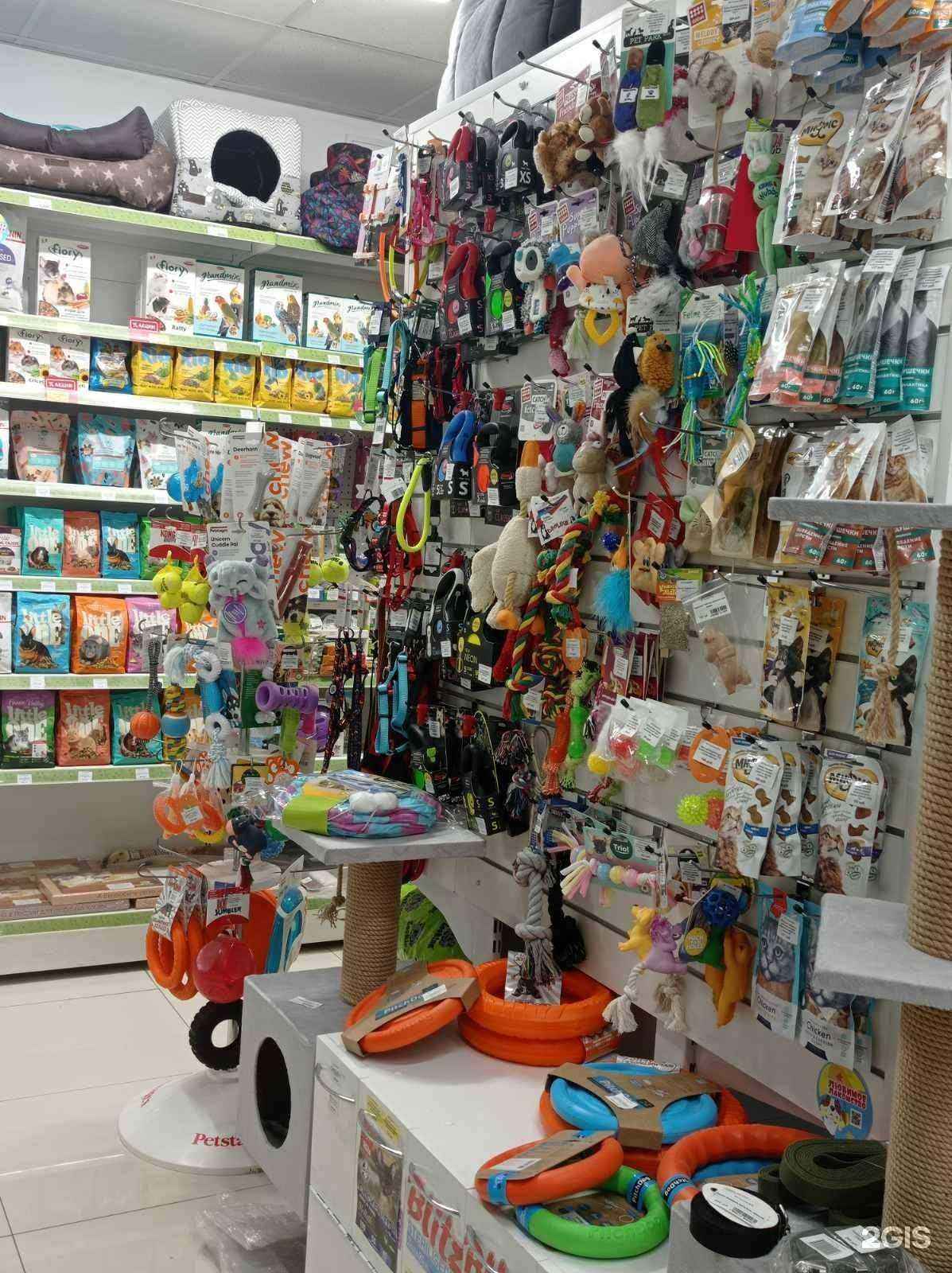 Отзывы на компанию Зоо43 в г. Киров c фото