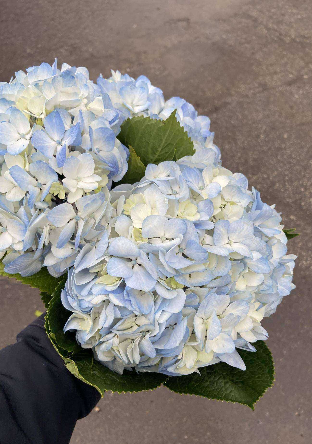 Отзывы на компанию Цветы для всех в Рязани c фото