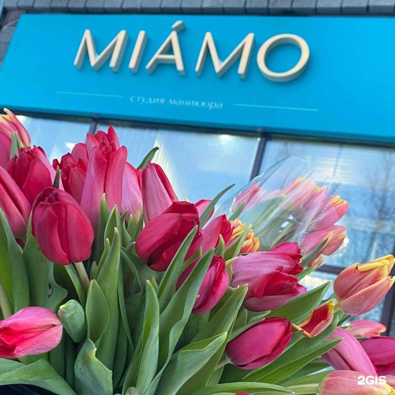 Отзывы на компанию Miamo в г. Сургут c фото