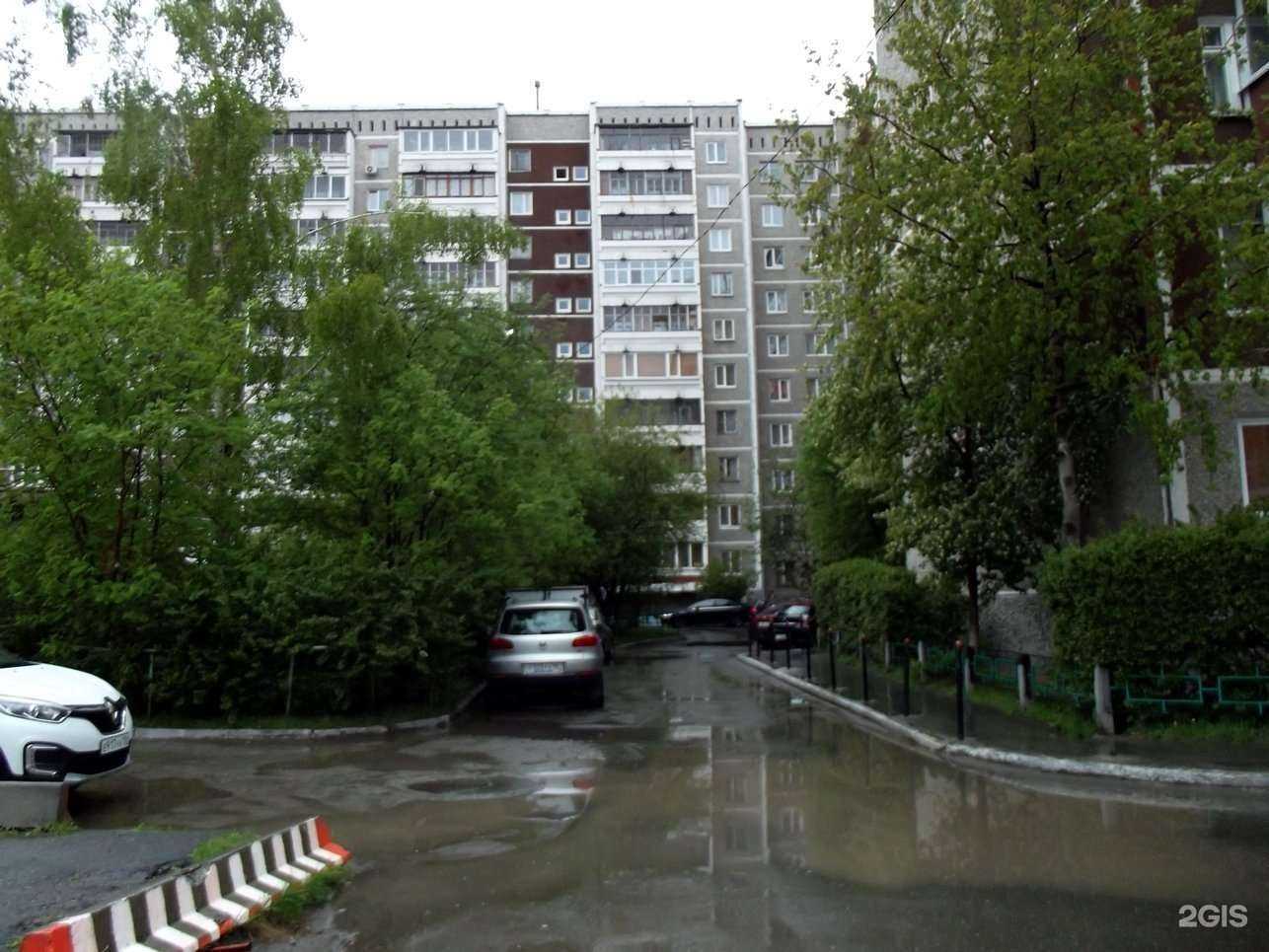 Отзывы на компанию Доктор Айболит в Екатеринбурге c фото - фотография 2 из 2