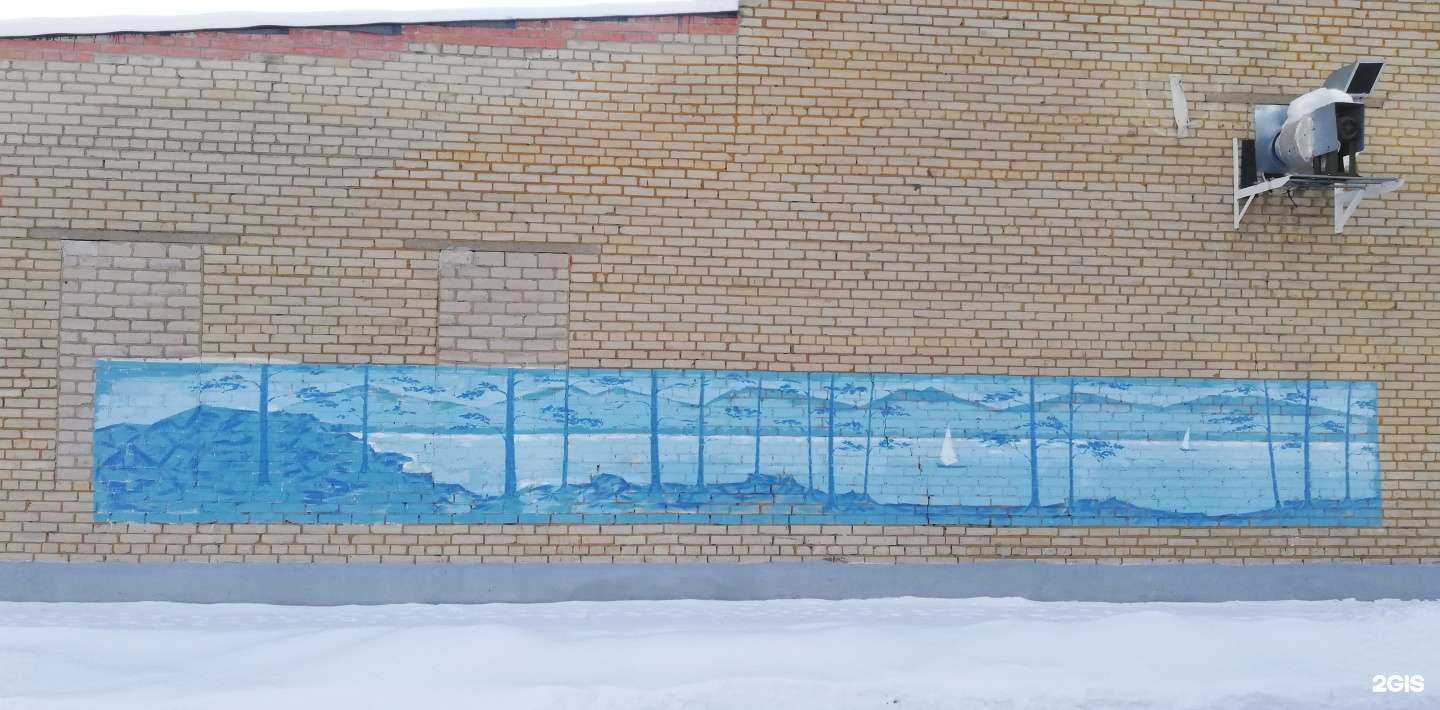 Отзывы на компанию Коррекционная школа-интернат №12 в Челябинске c фото