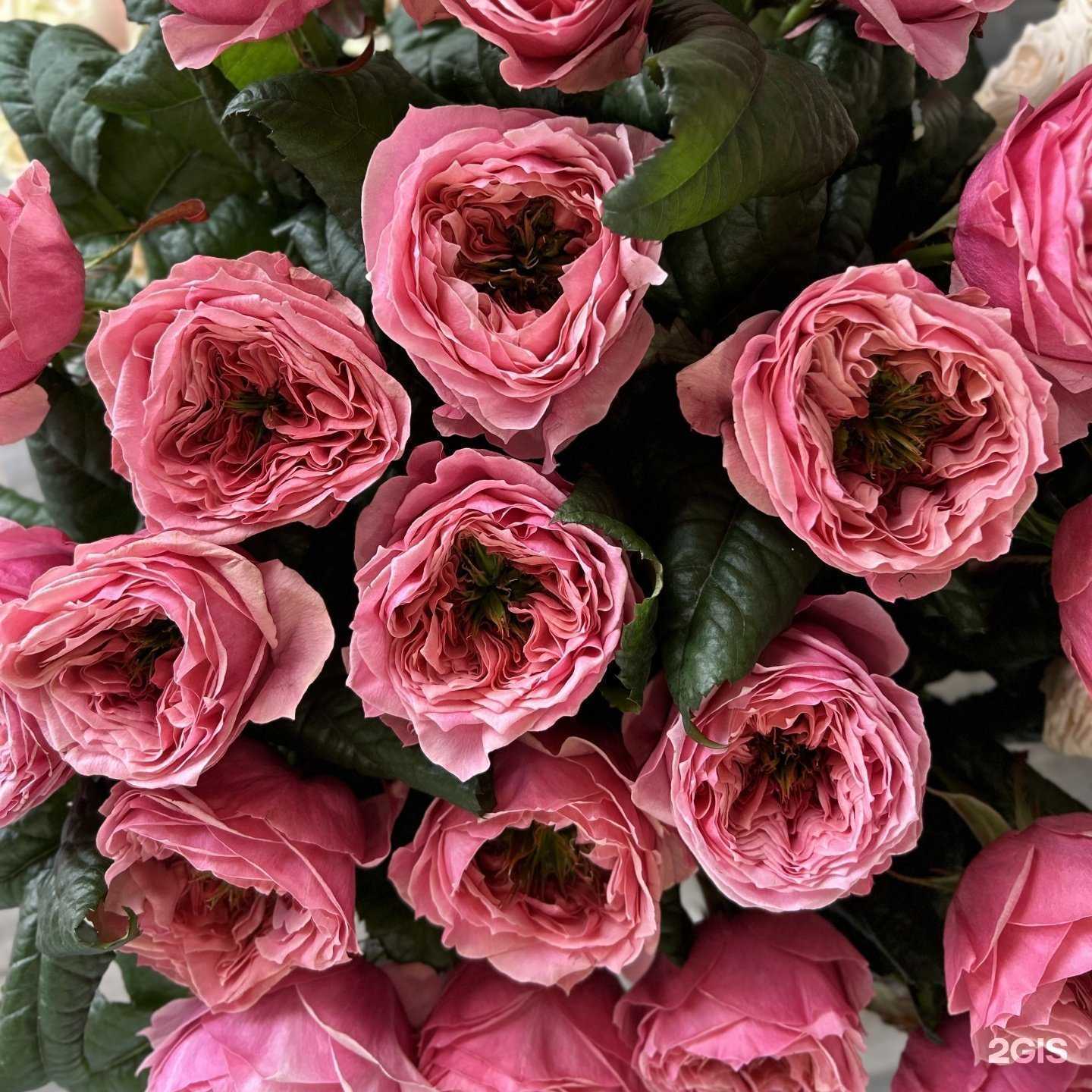 Отзывы на компанию Ai.WA_FLOWERS в г. Саранск c фото