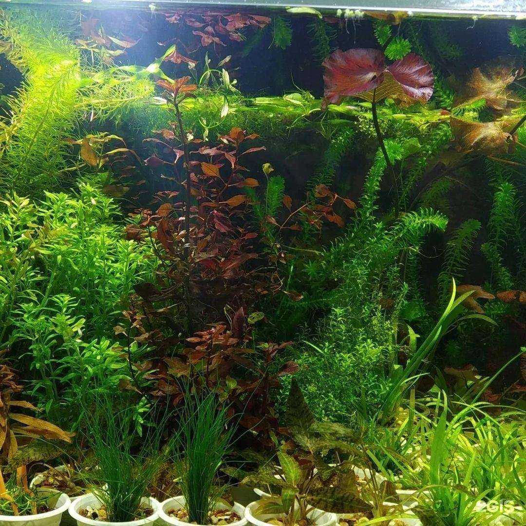 Отзывы на компанию Панда в Барнауле c фото