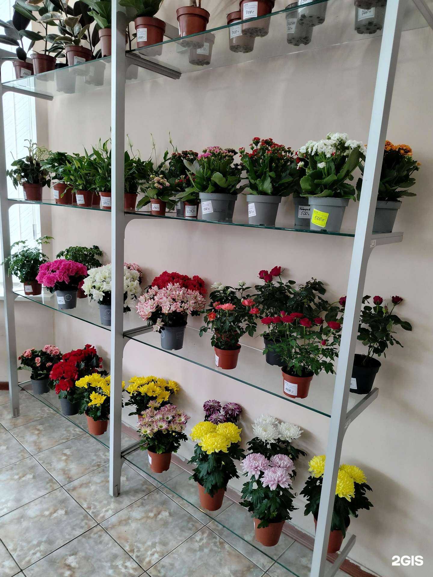 Отзывы на компанию Магазин цветов в Ступине c фото