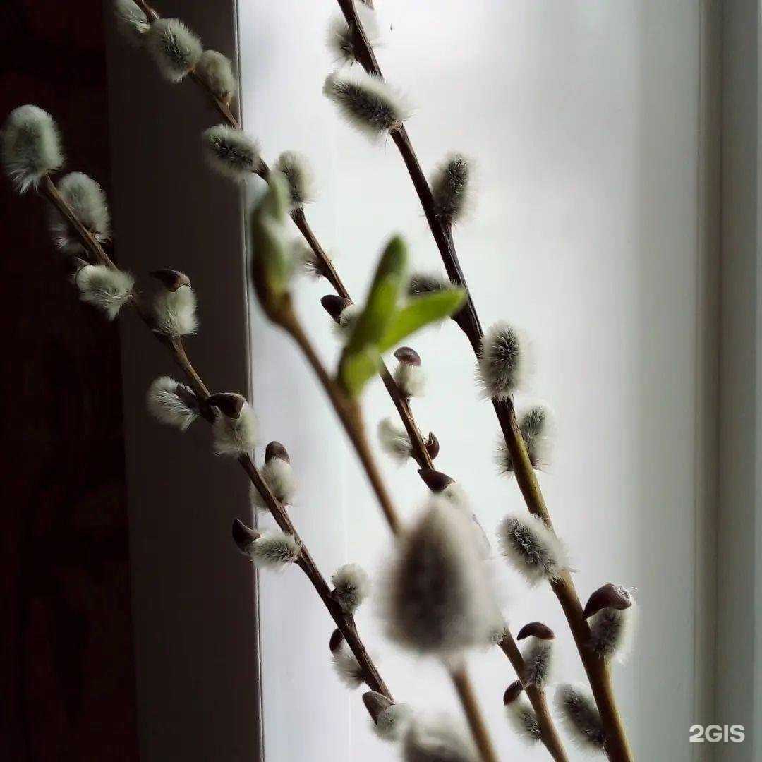 Отзывы на компанию Самарский вернисаж в г. Самара c фото