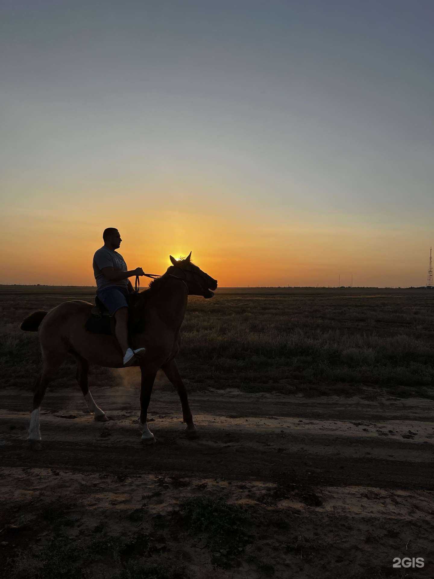 Отзывы на компанию Аранзал в г. Элиста c фото