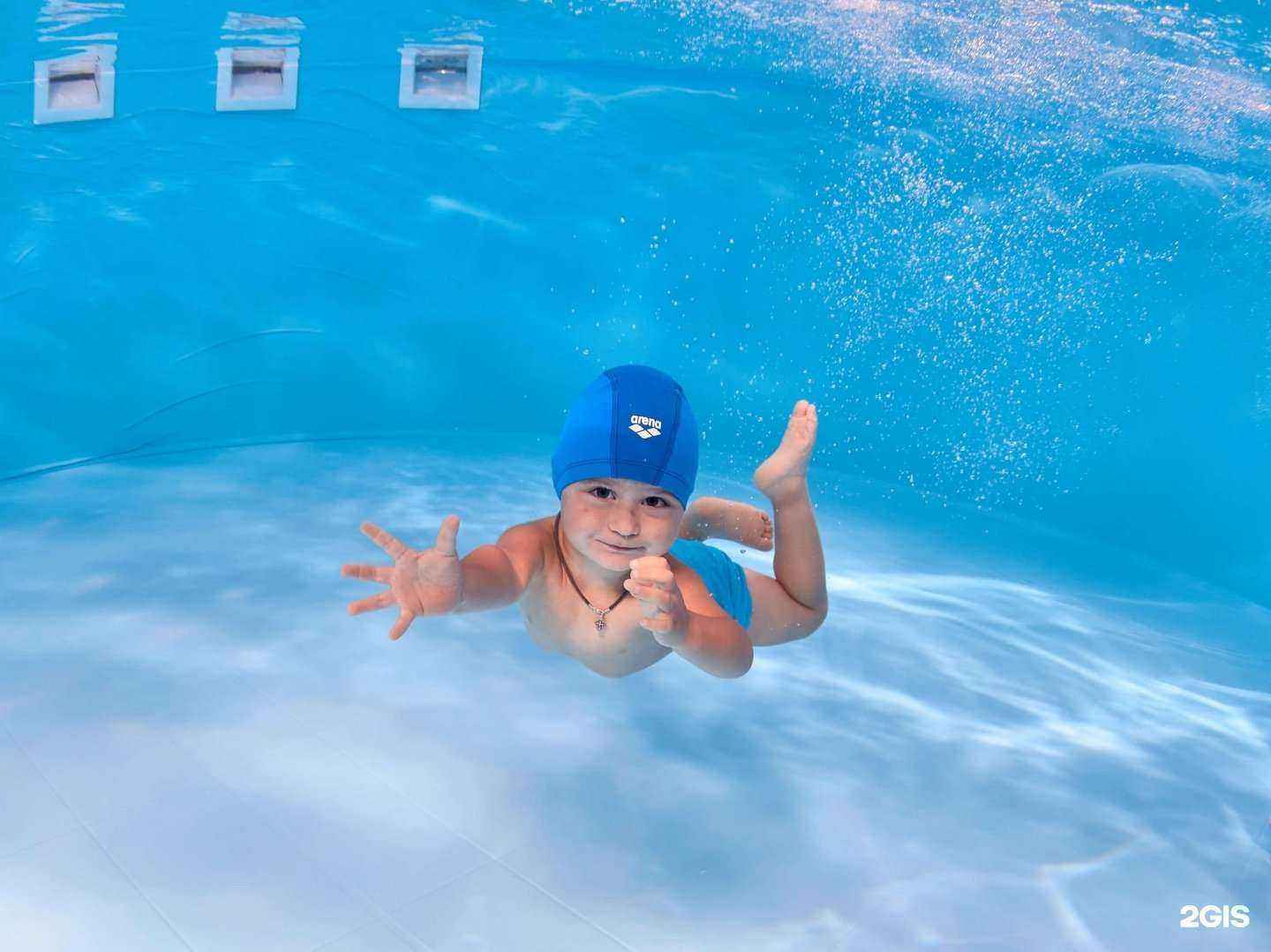 Отзывы на компанию Буль-буль Карасики в г. Томск c фото