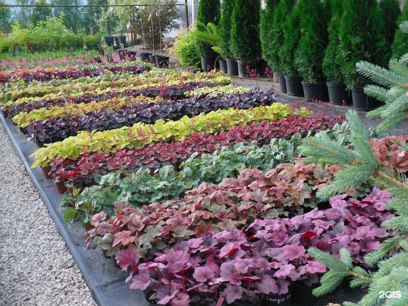 Отзывы на компанию Подсолнух в г. Ульяновск c фото