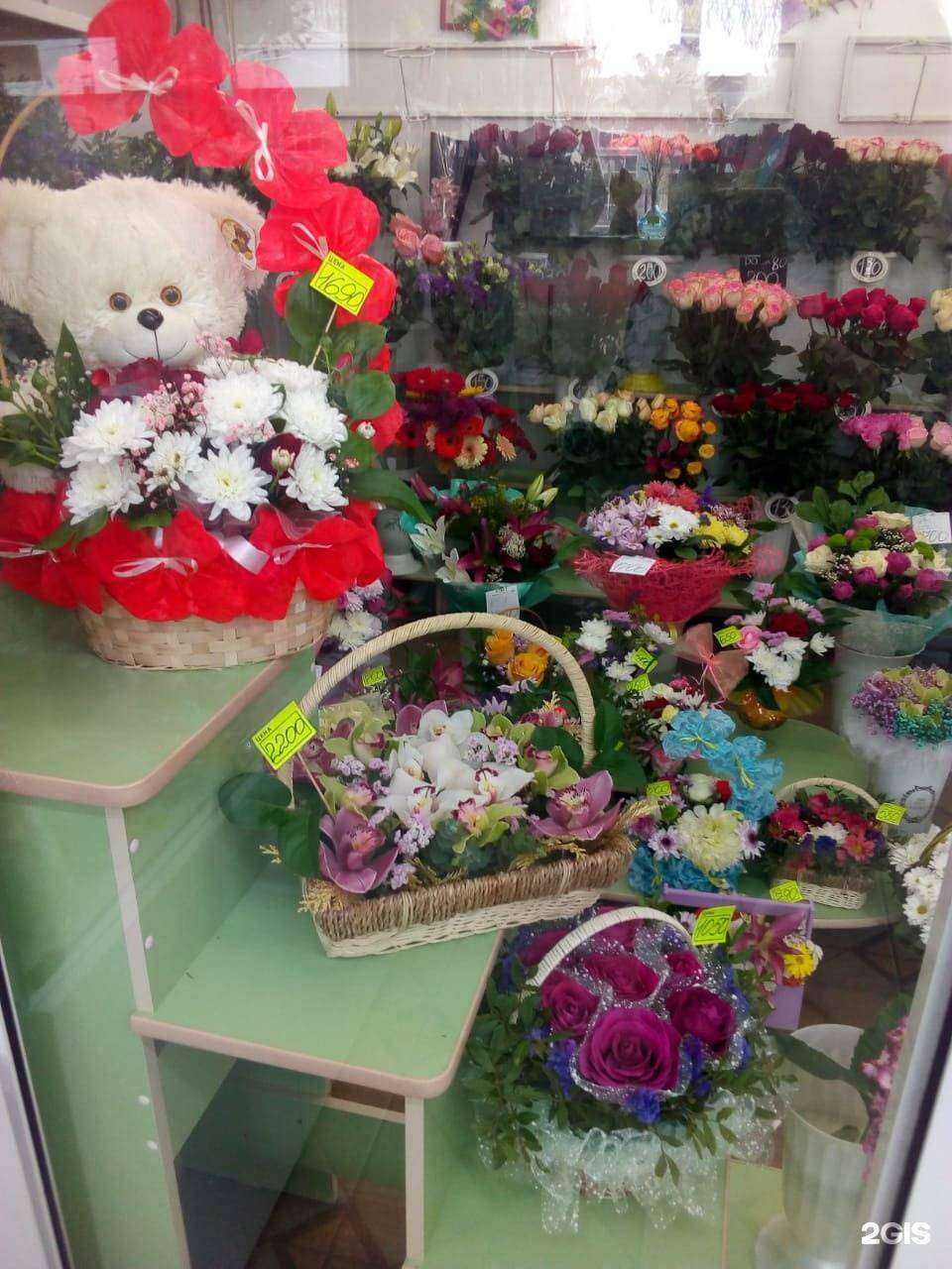 Отзывы на компанию Жасмина в г. Томск c фото