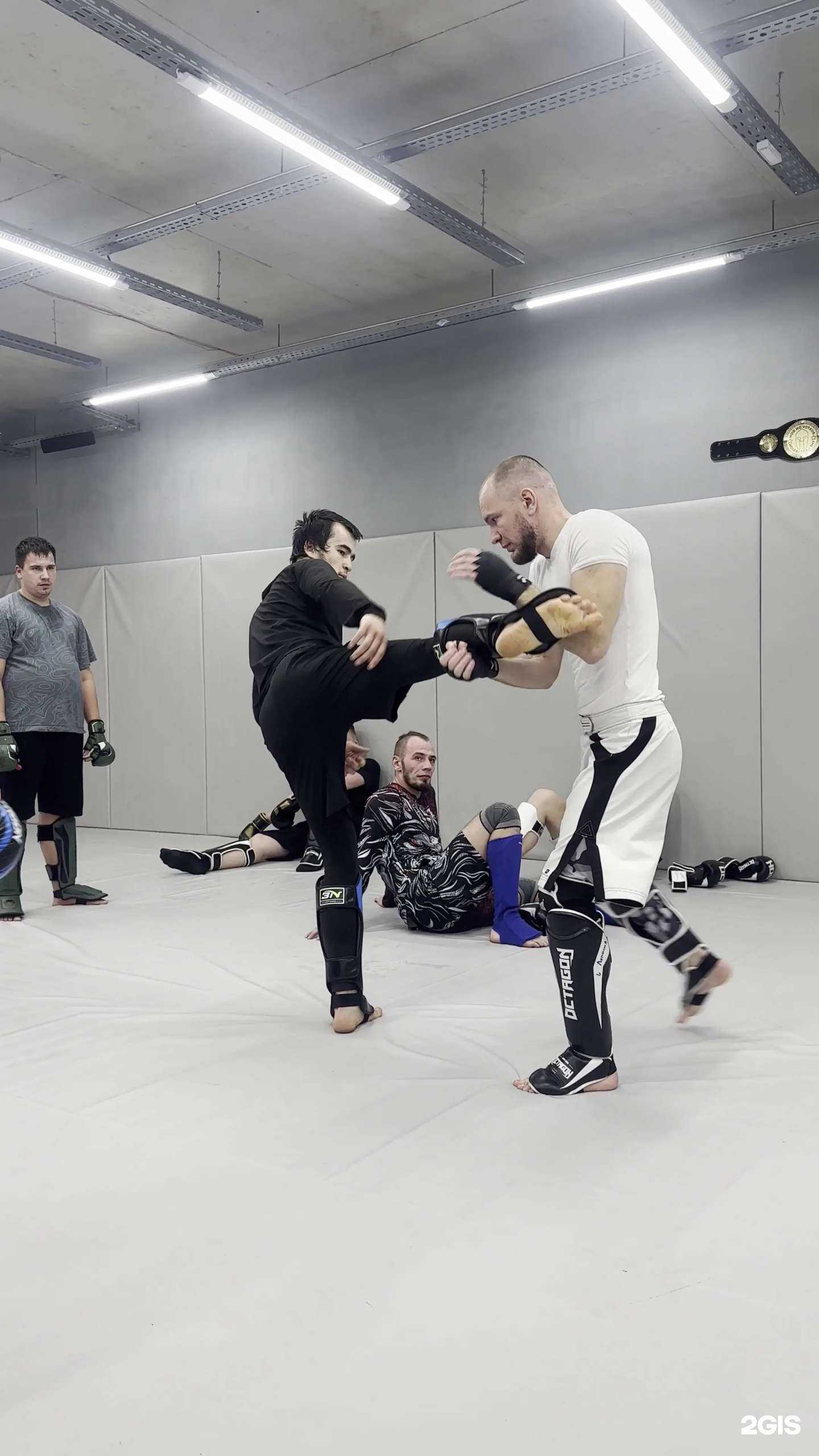 Отзывы на компанию Fighting Academy в Ростове-на-Дону c фото