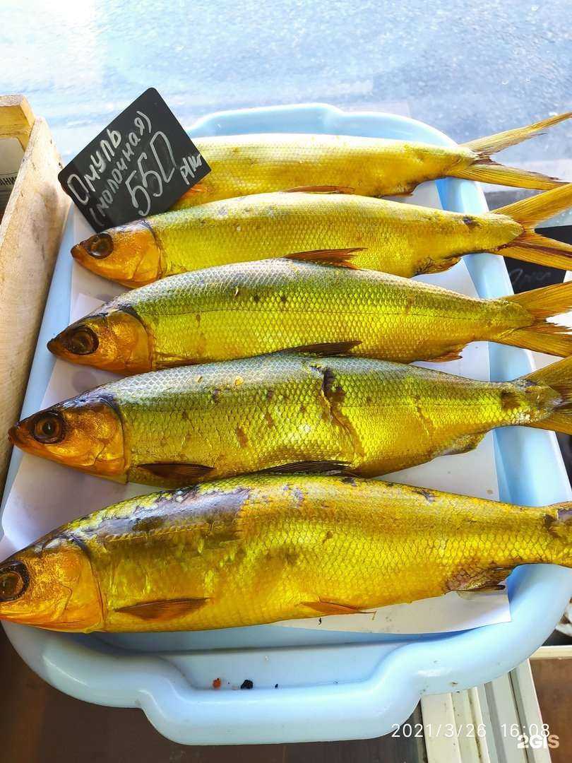 Отзывы на компанию Рыбная Лавка в г. Тольятти c фото