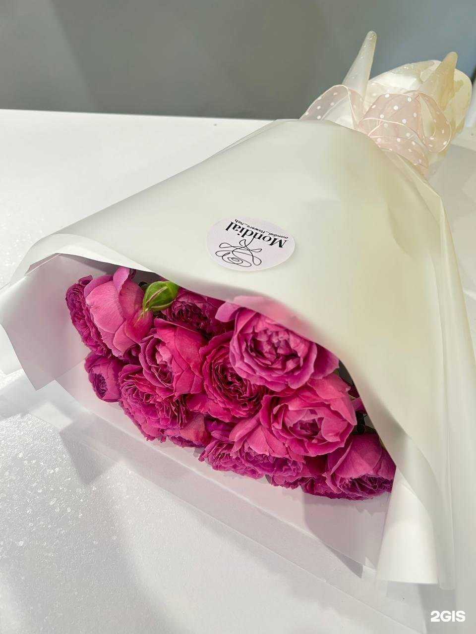 Отзывы на компанию Mondial в Набережных Челнах c фото