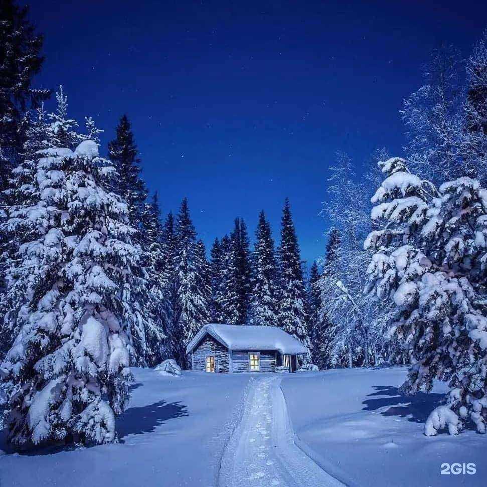 Отзывы на компанию ЭкоДом в Владимире c фото