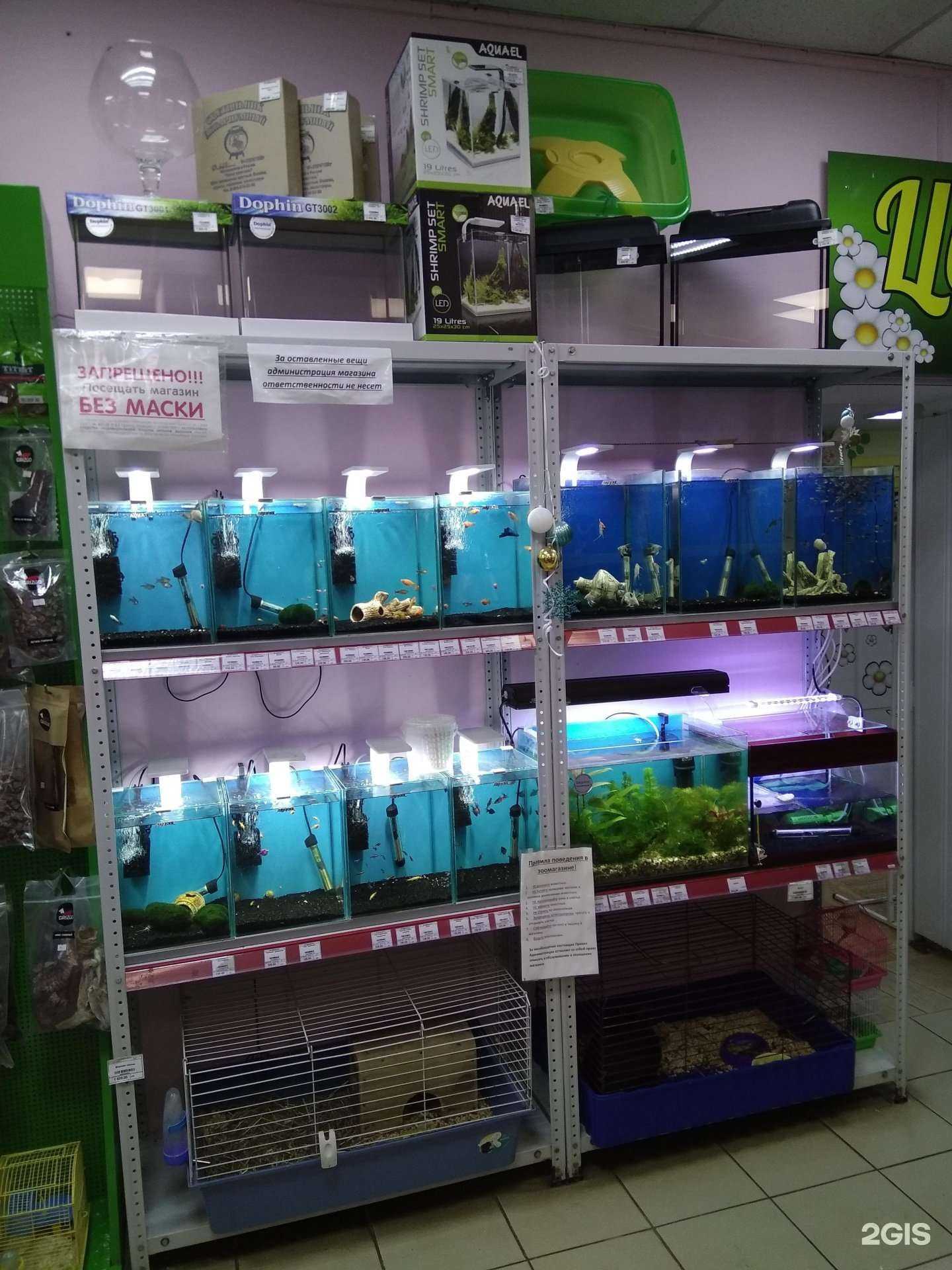 Отзывы на компанию Хвостик в г. Фрязино c фото