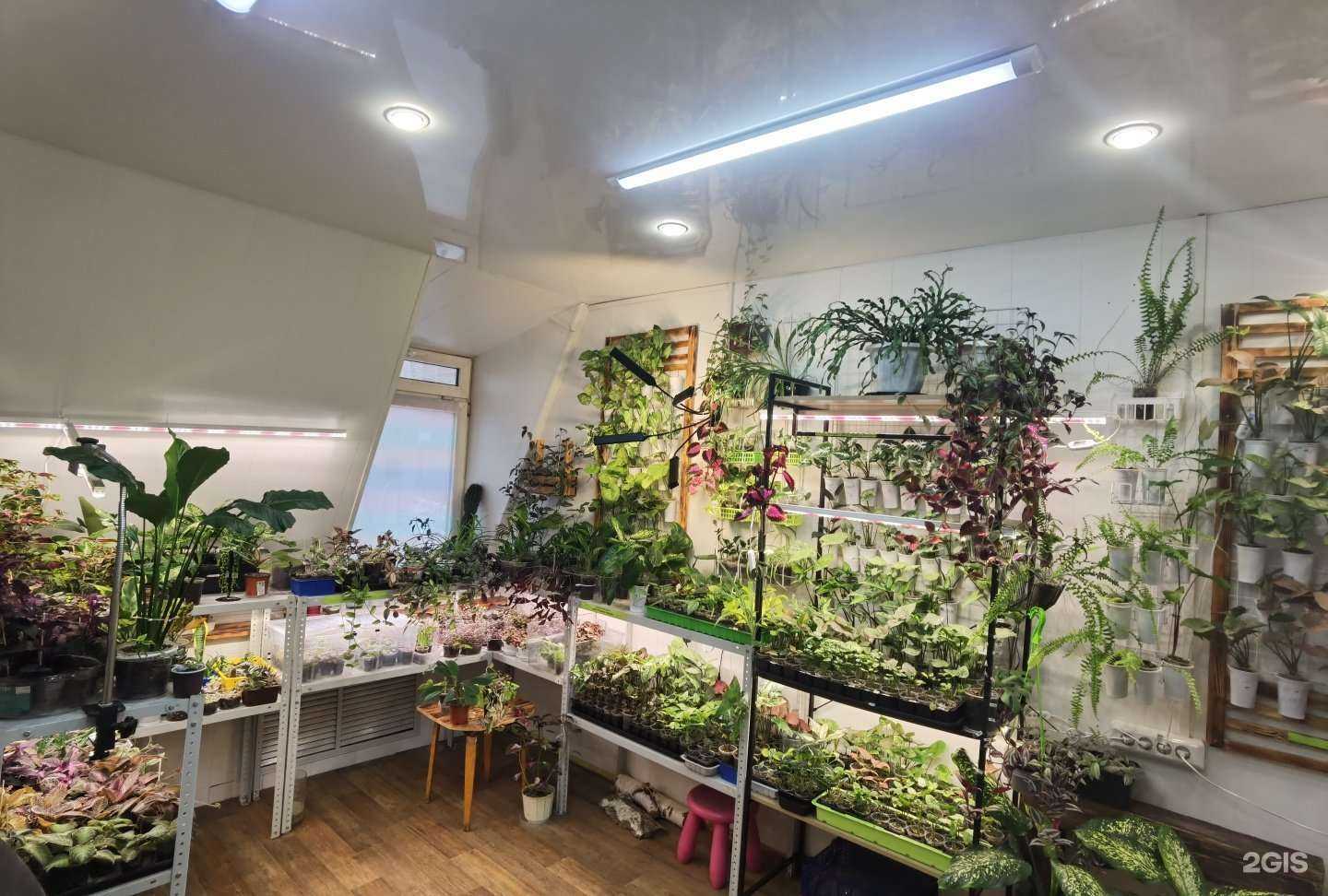 Отзывы на компанию Flowers_by_kris в г. Уфа c фото