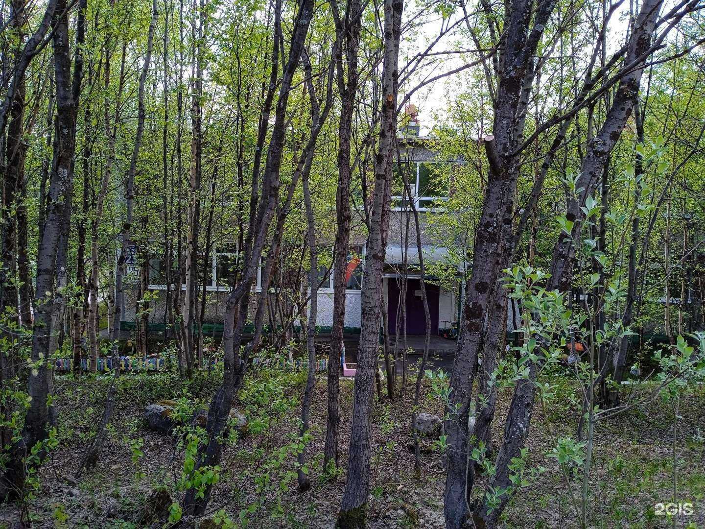 Отзывы на компанию детский сад №115 в г. Мурманск c фото