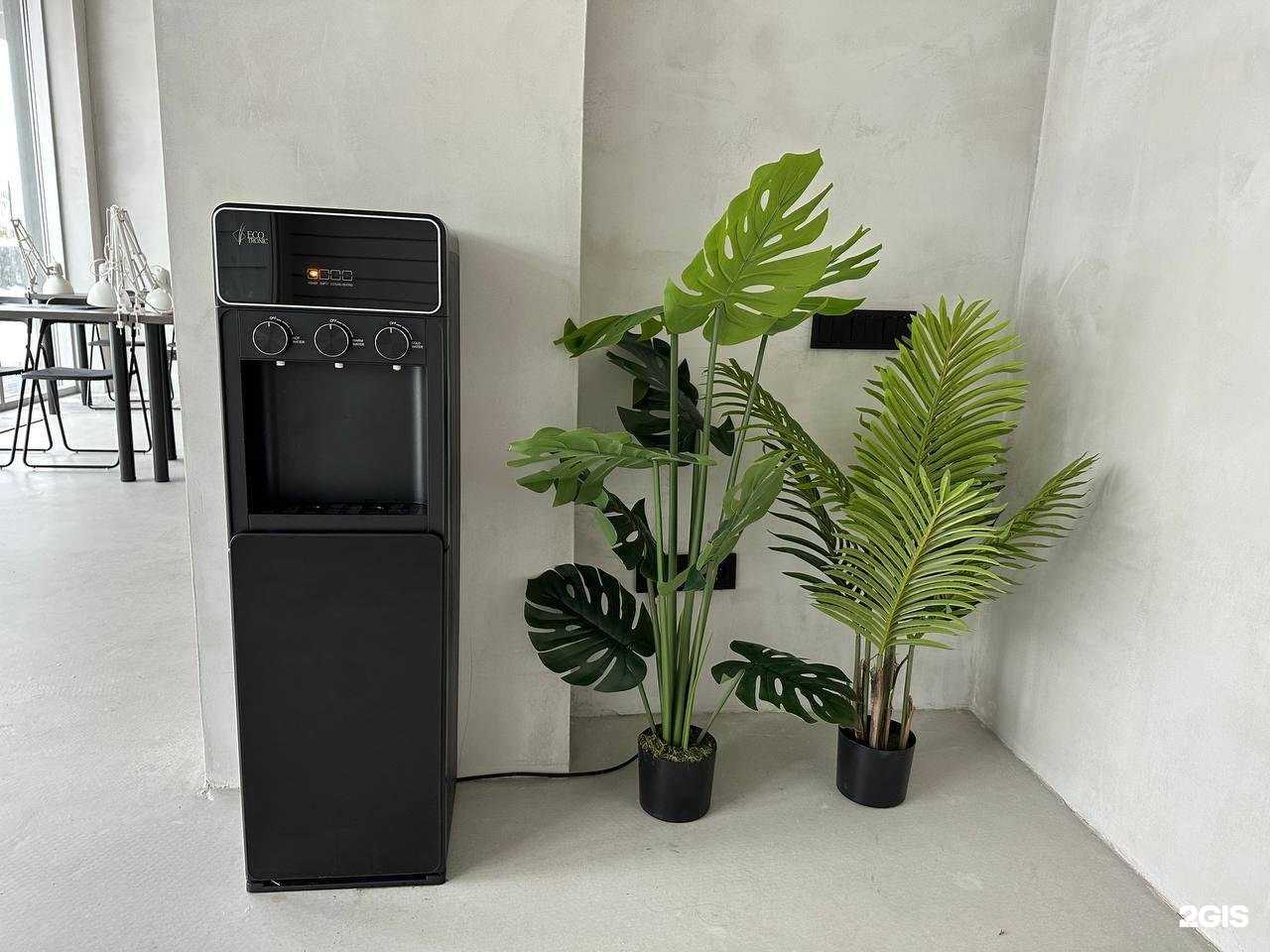 Отзывы на компанию Pili Shura в Новосибирске c фото