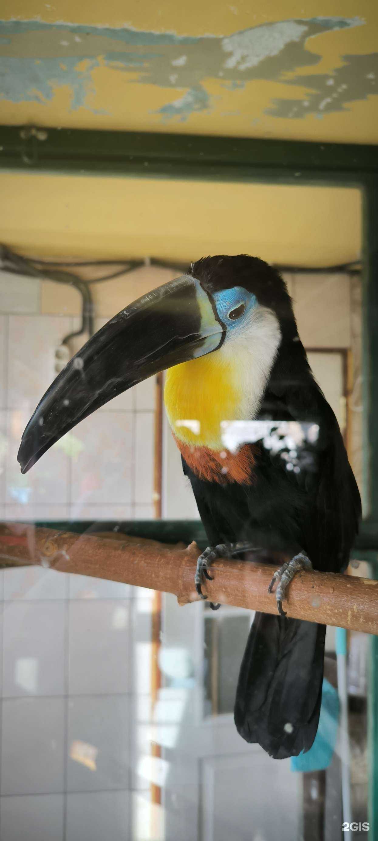 Отзывы на компанию Ветеринарный кабинет в Иркутске c фото - фотография 2 из 2