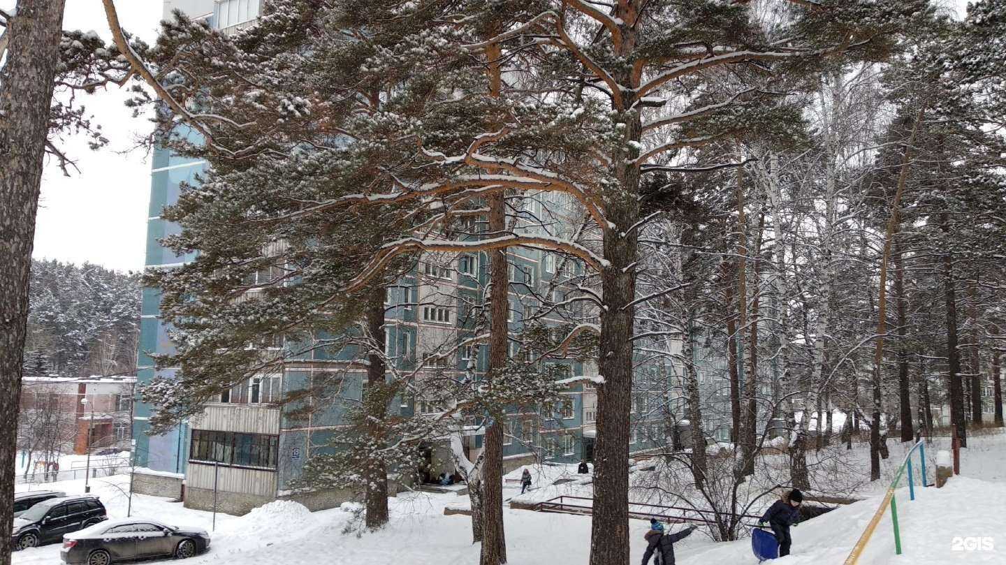 Отзывы на компанию Семья в Новосибирске c фото - фотография 2 из 2