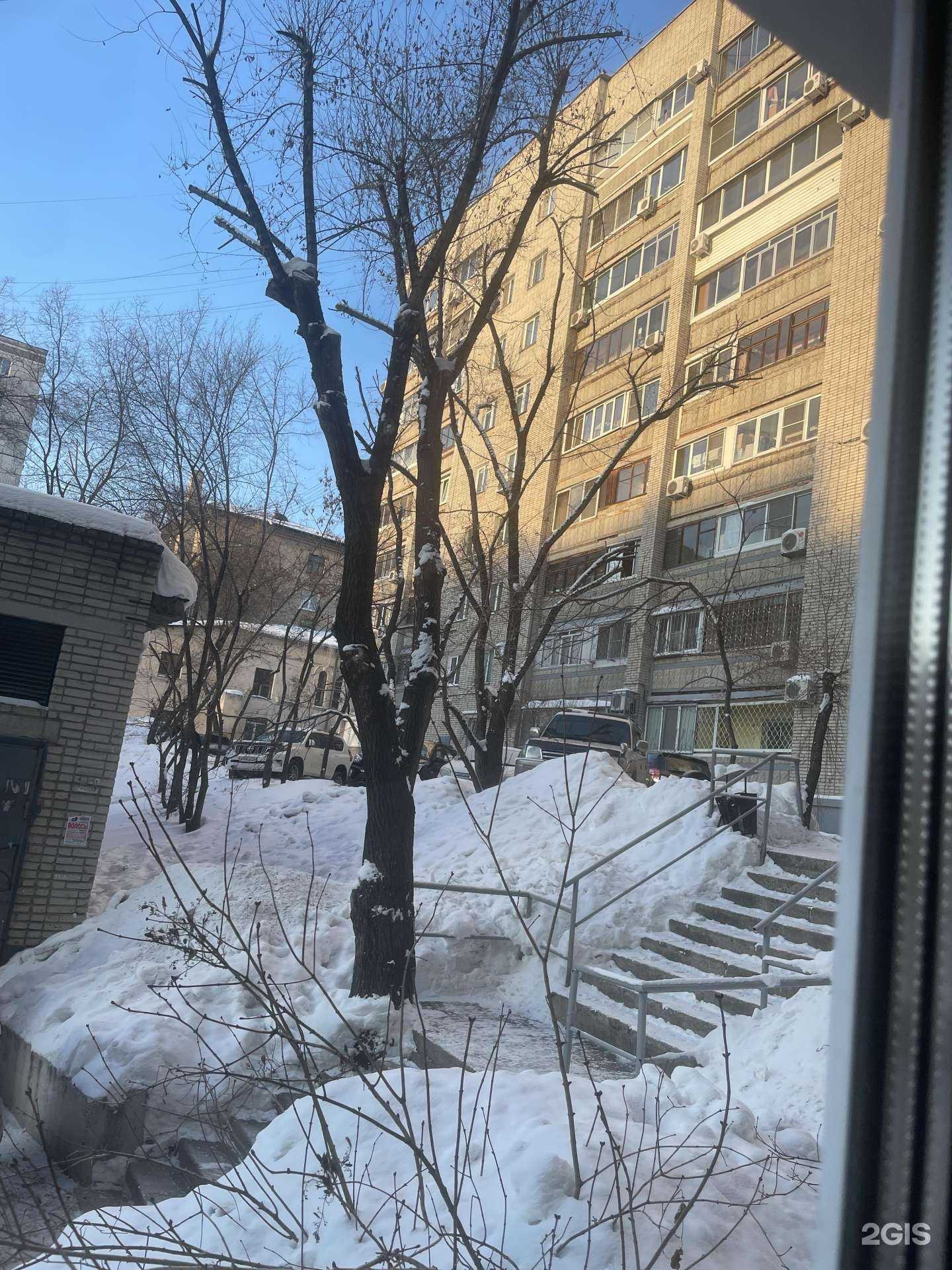 Отзывы на компанию Эго Лаборатория в Хабаровске c фото - фотография 2 из 2