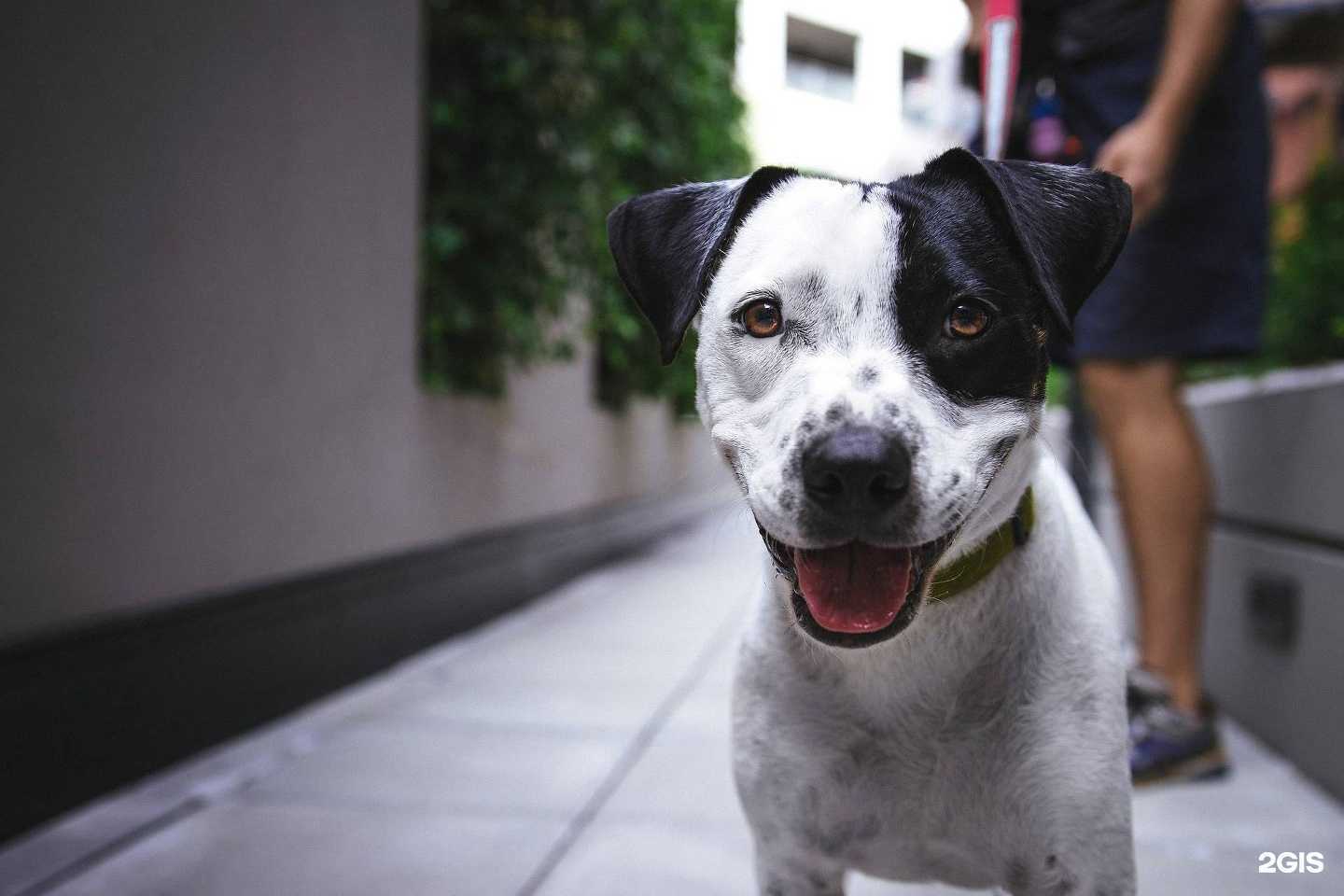 Отзывы на компанию Чемпион в г. Череповец c фото