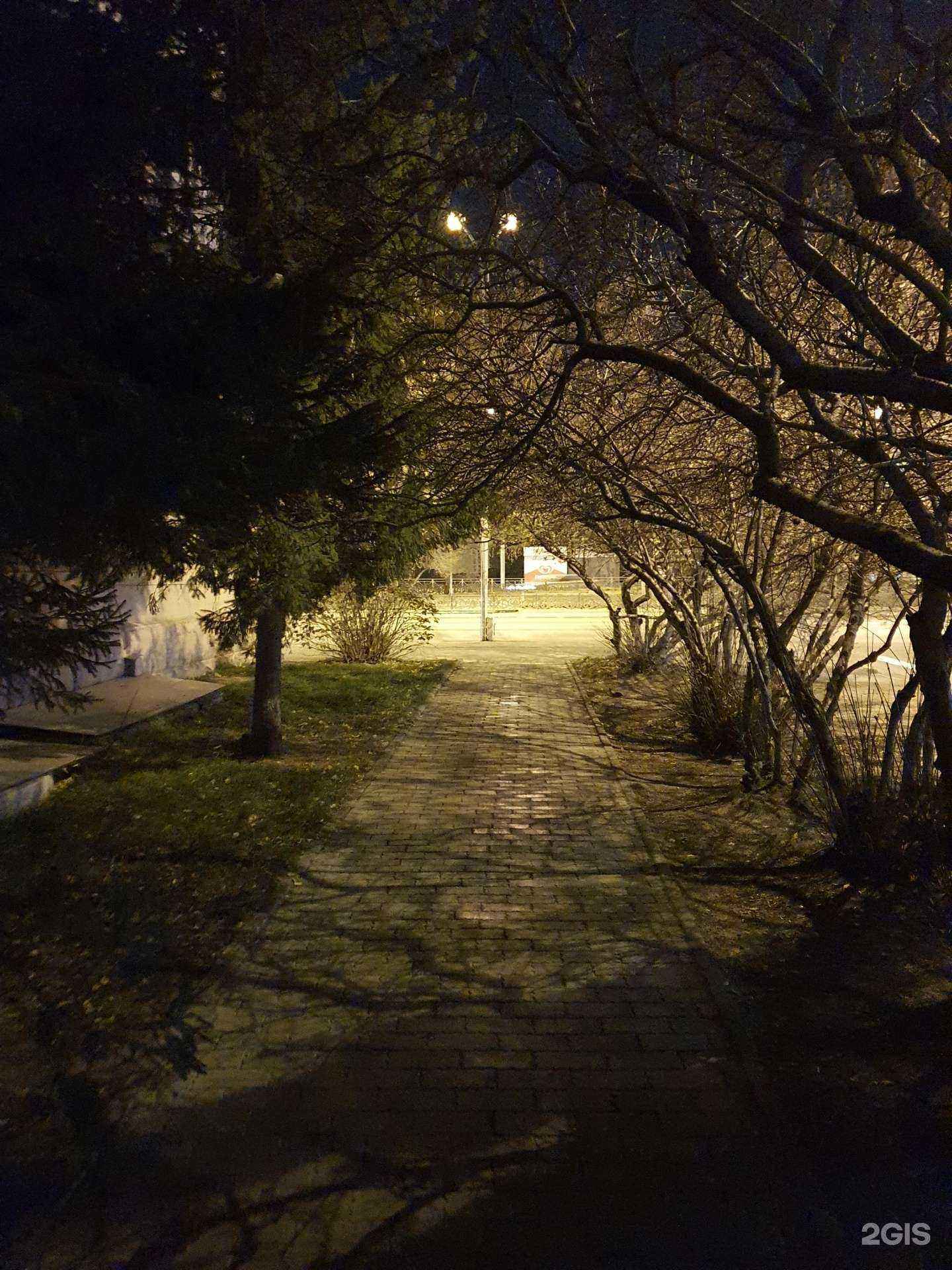 Отзывы на компанию Истоки развития в Новосибирске c фото - фотография 2 из 2