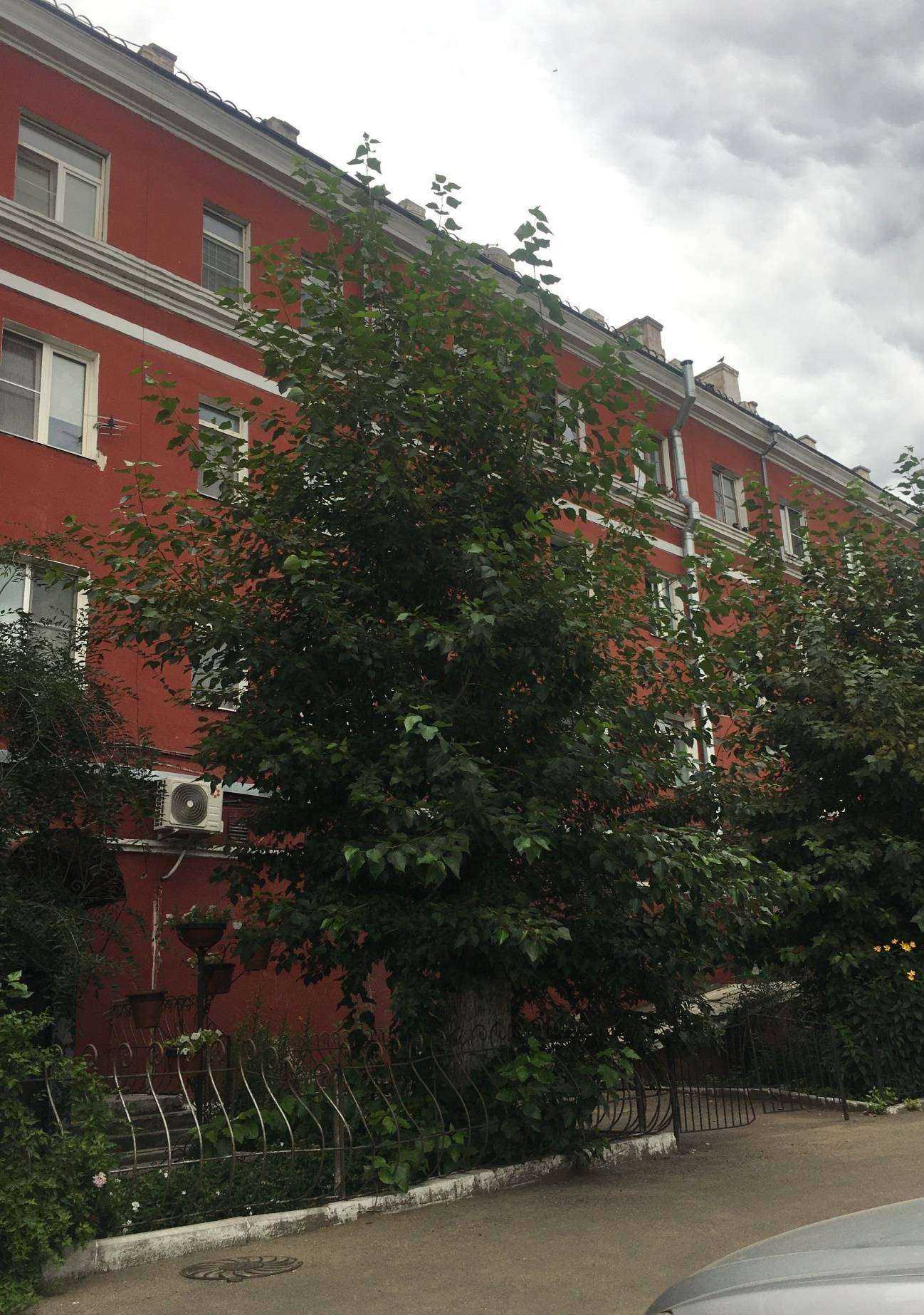 Отзывы на компанию Байкал в Улан-Удэ c фото - фотография 2 из 2