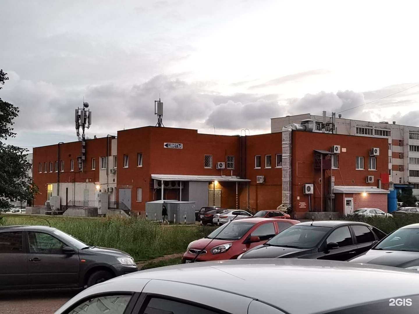 Отзывы на компанию Зоолайф в Набережных Челнах c фото - фотография 2 из 2