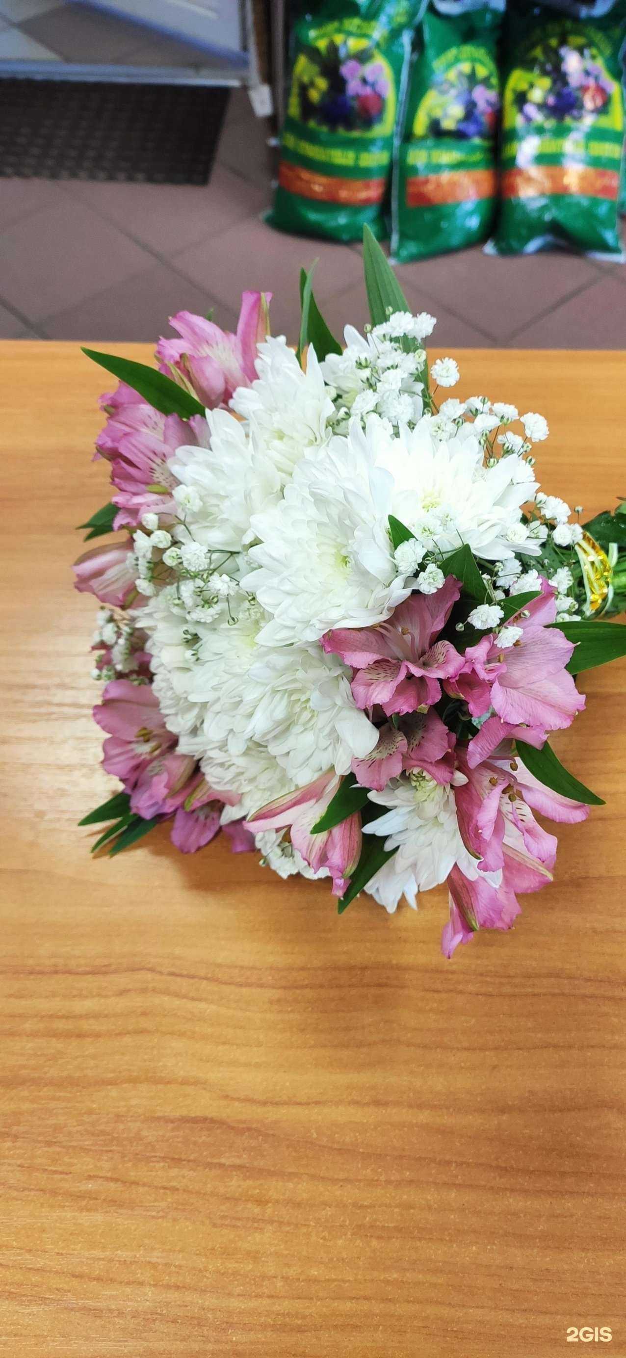 Отзывы на компанию Цветы Севера в г. Сыктывкар c фото