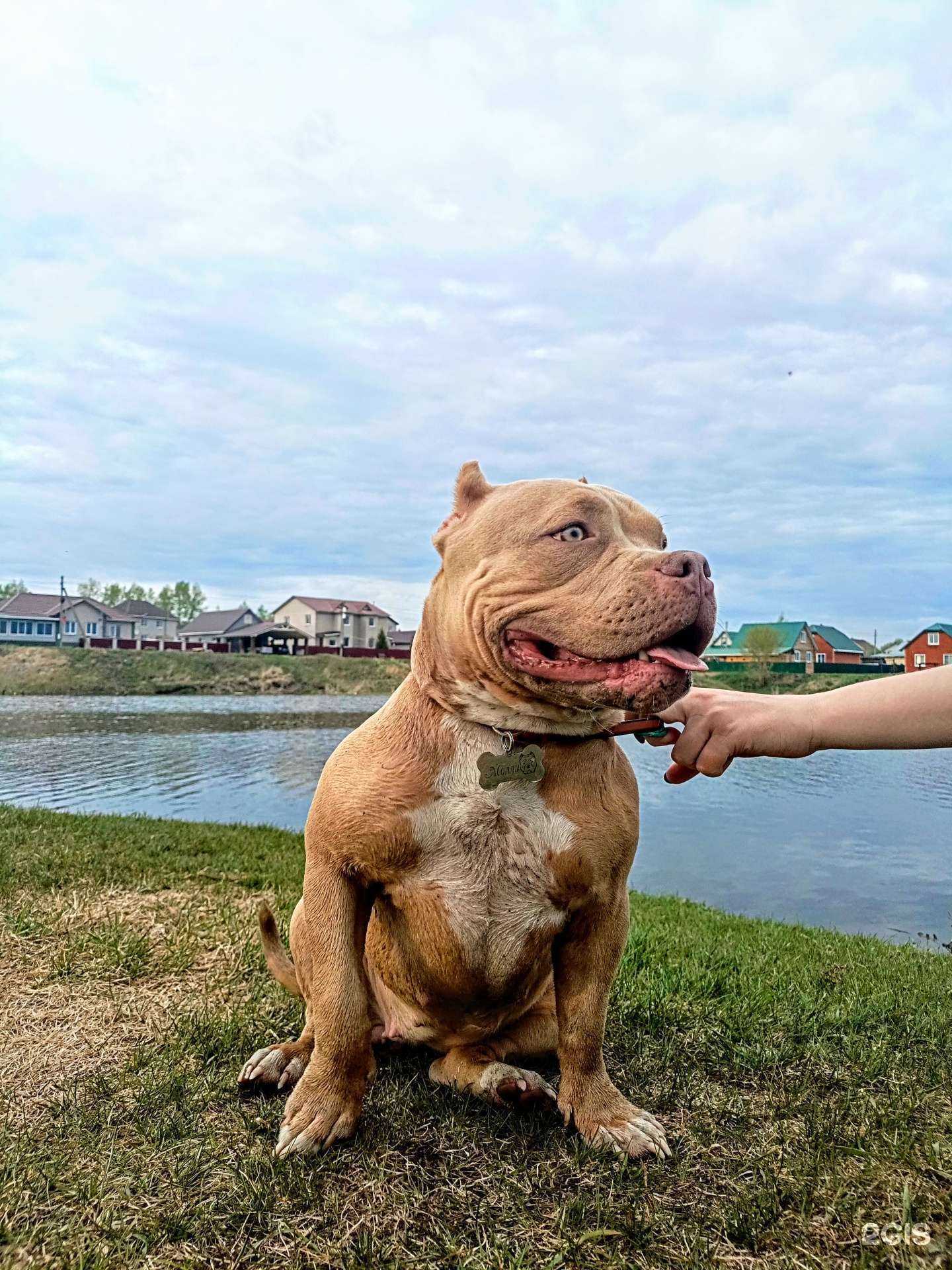 Отзывы на компанию Титул в Барнауле c фото