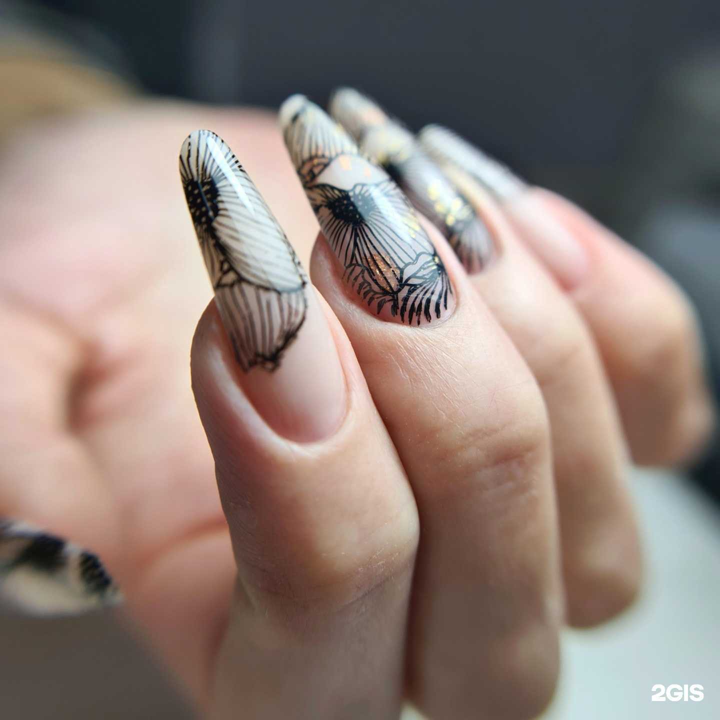 Отзывы на компанию Наяда Камчатка в Петропавловске-Камчатском c фото