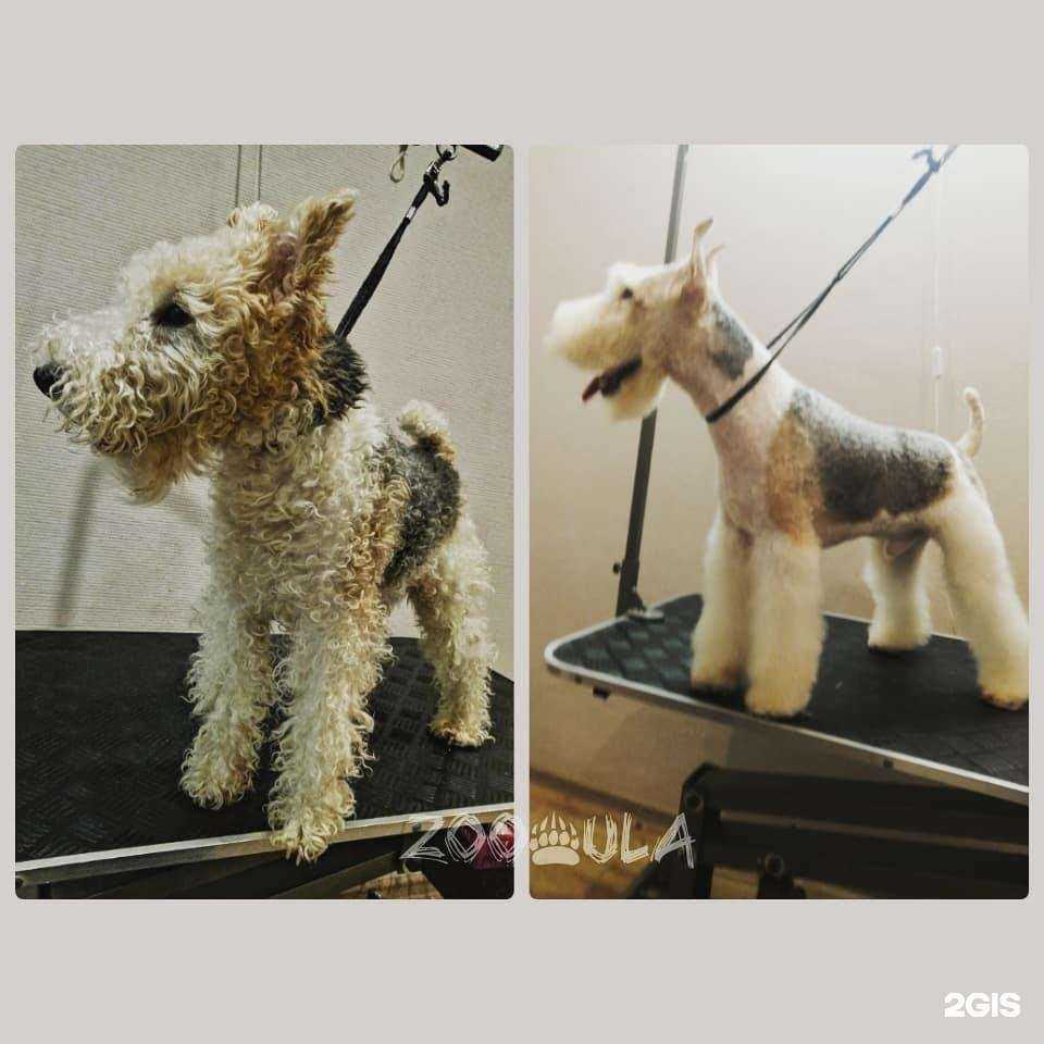 Отзывы на компанию Юла в Ногинске c фото