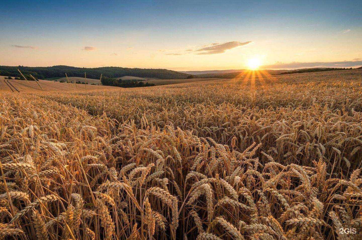 Отзывы на компанию Русское поле в г. Самара c фото