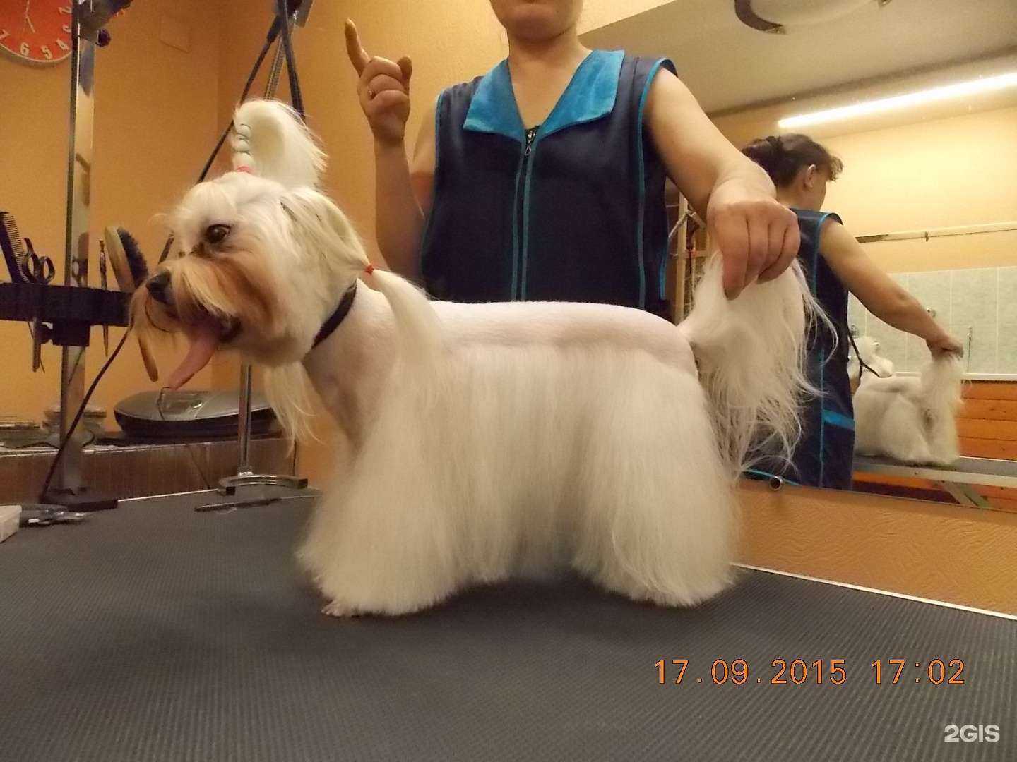 Отзывы на компанию Леон в г. Мурманск c фото