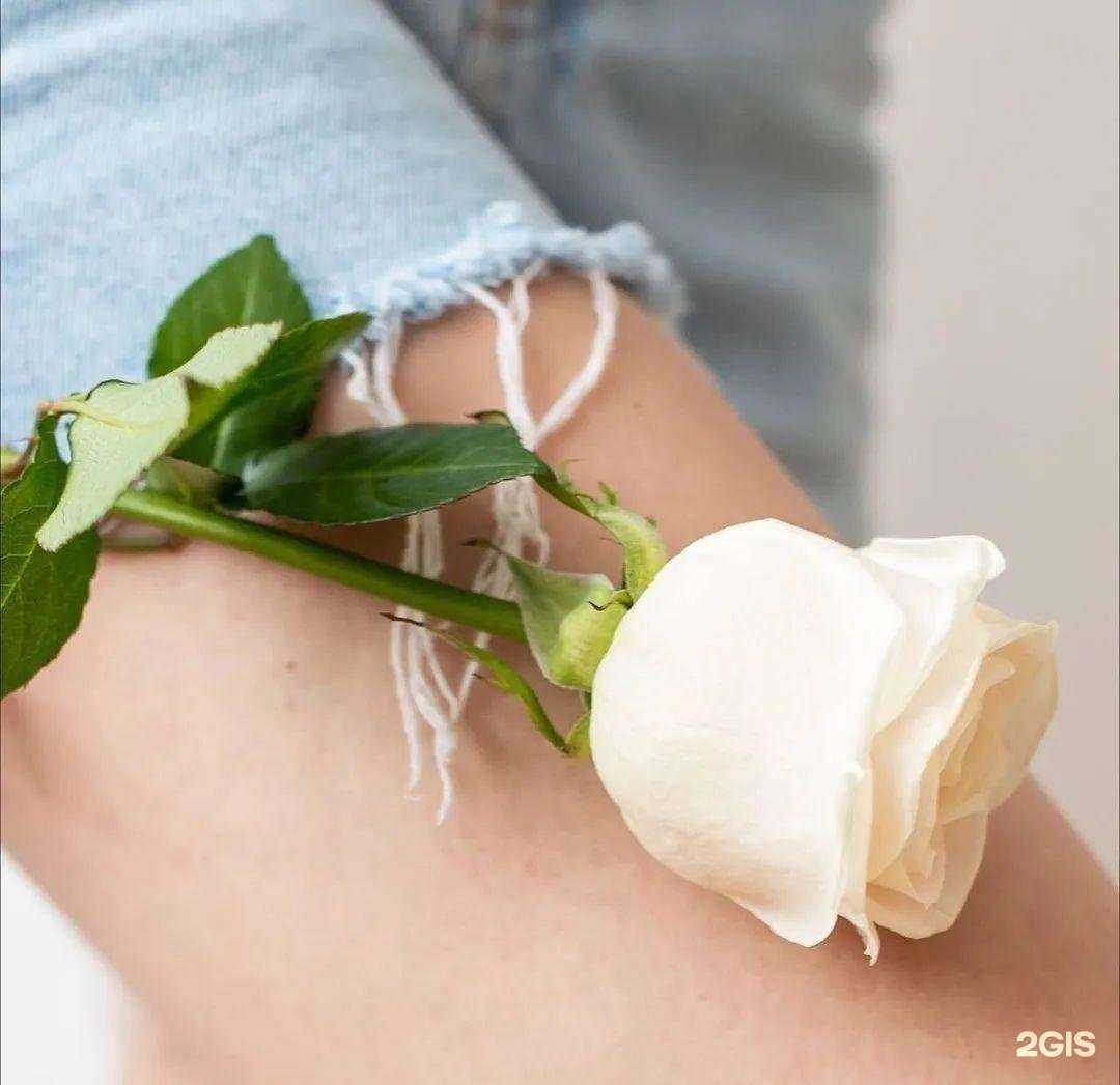 Отзывы на компанию Laser love в г. Орск c фото